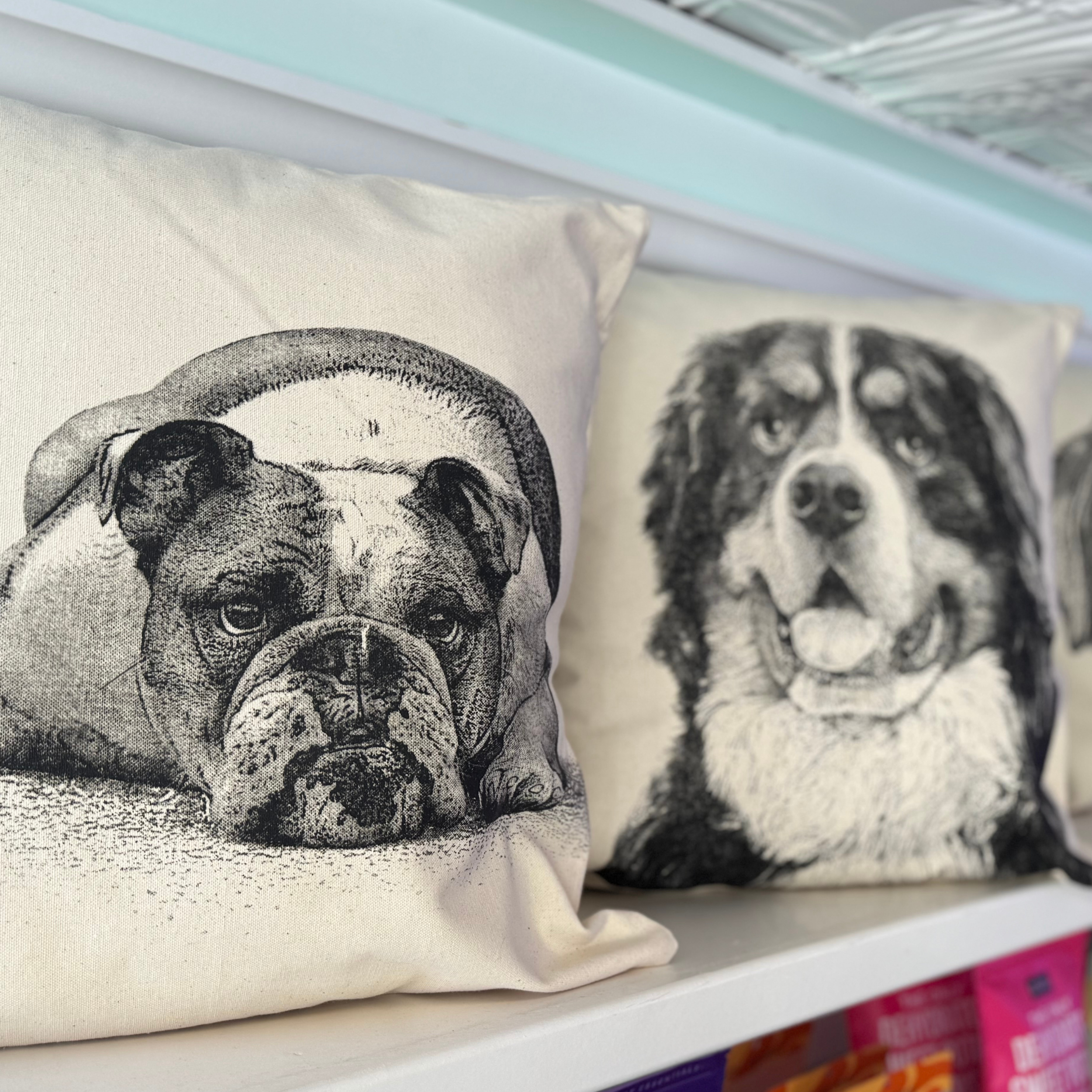 Dog Beds, Carriers & Comfort