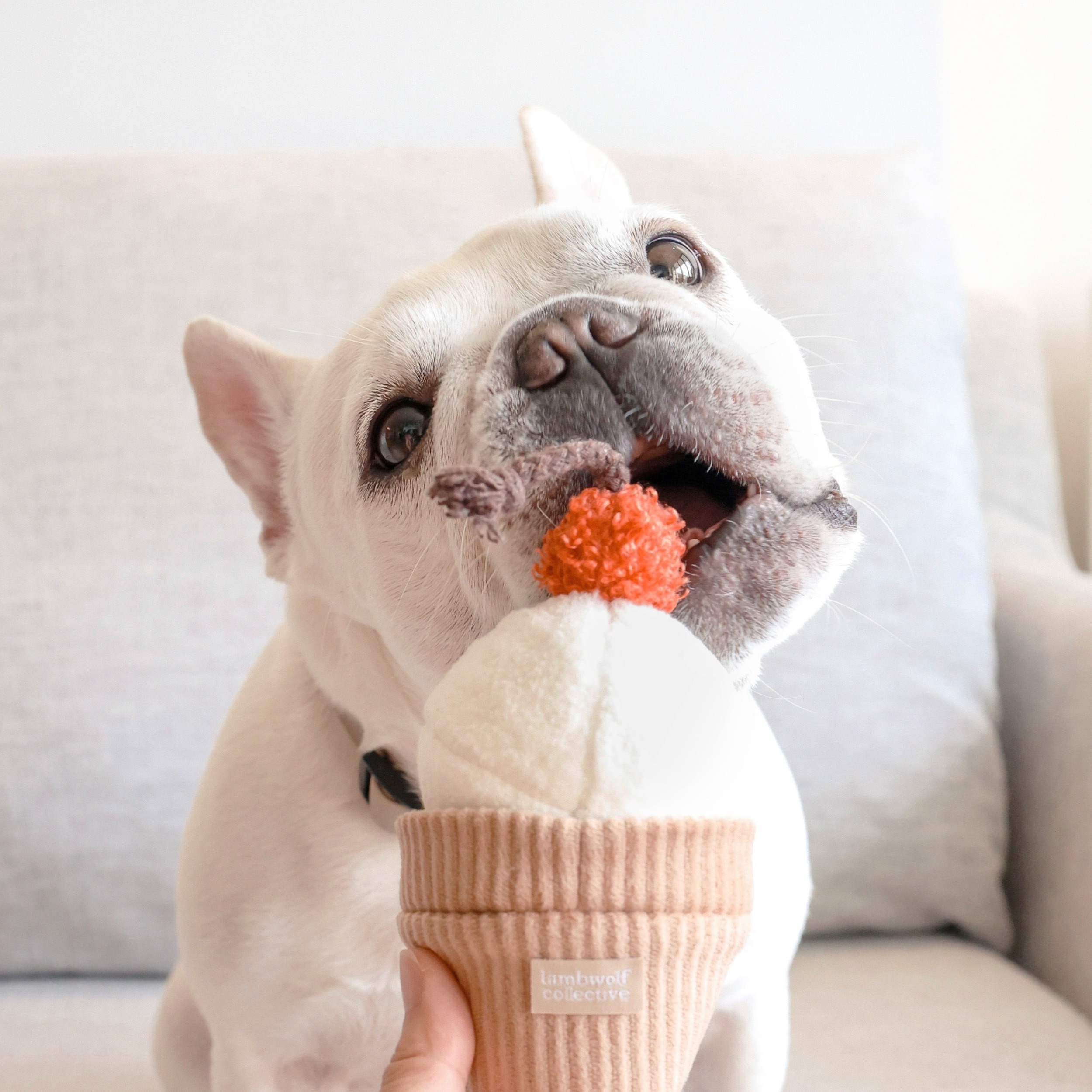 Doggy Favorites