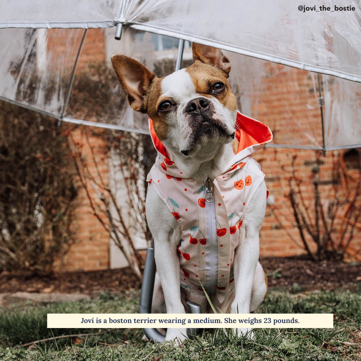Lucy & Co. Cheery Cherries Reversible Raincoat