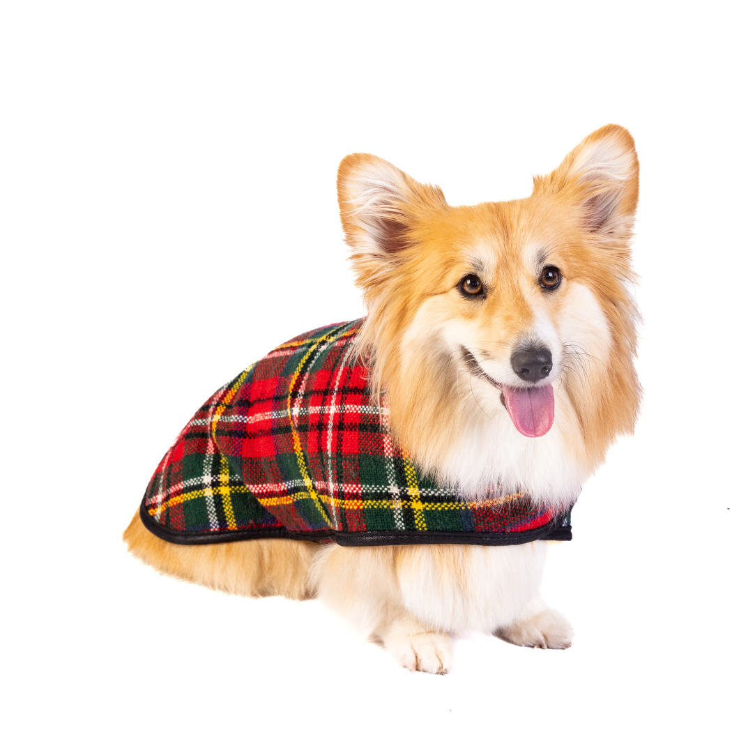 CHILLY DOG LLC - Scotty Plaid Dog Blanket Coat