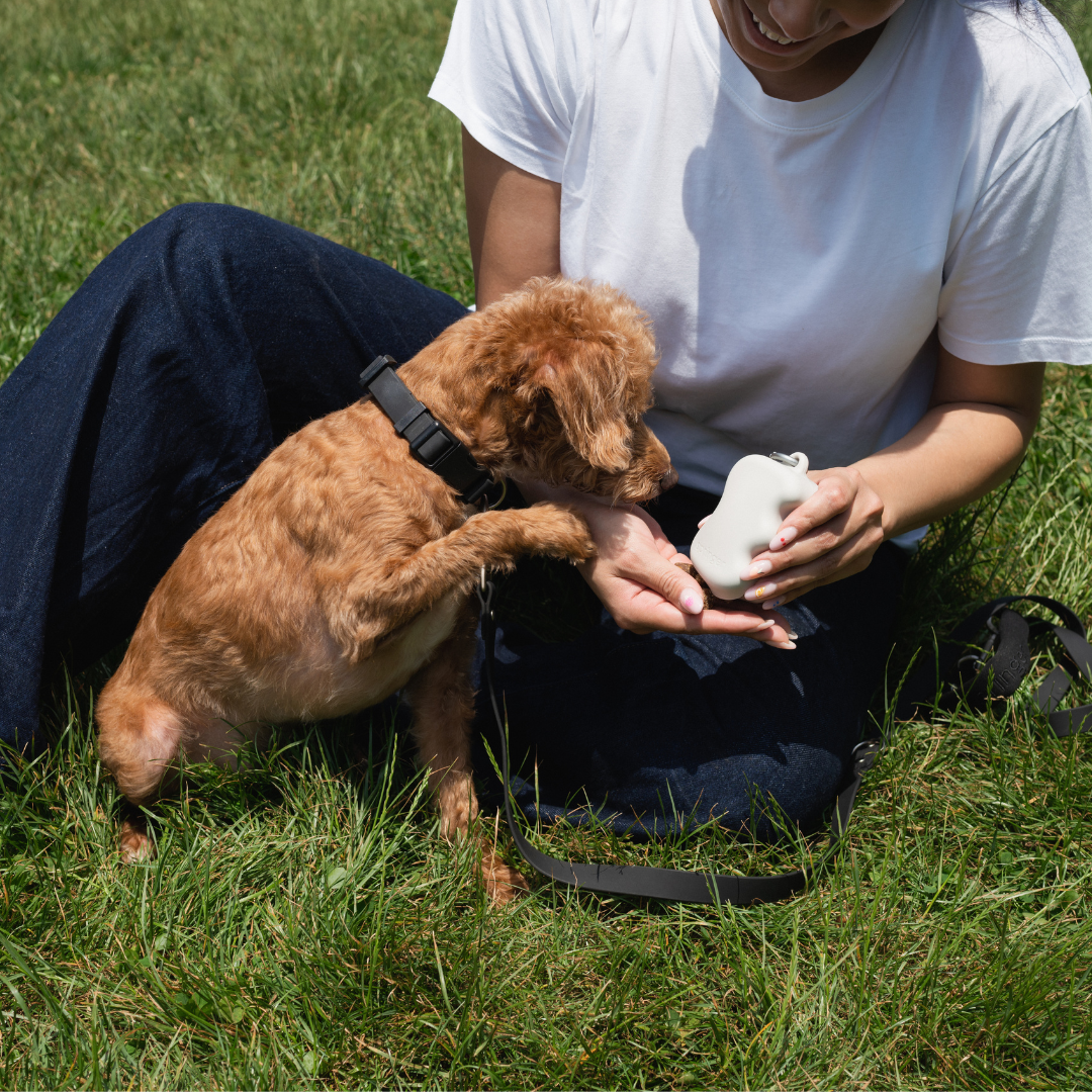 Springland Pets - Silicone Dog Treat Dispenser