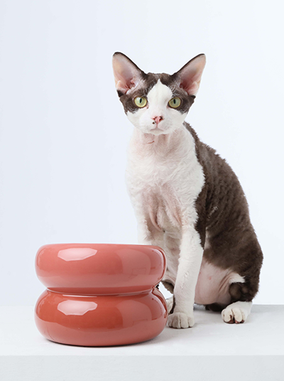 PEHOM - Soufflé Pet Bowl