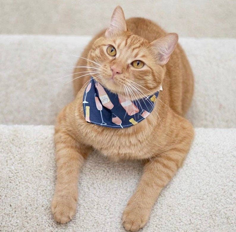 Fox Named Todd - Rose All Day Dog Bandana