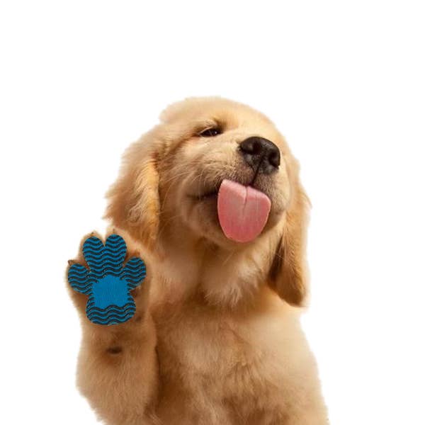 BRIGHT IRIS - Silicone Dog Paw Protector