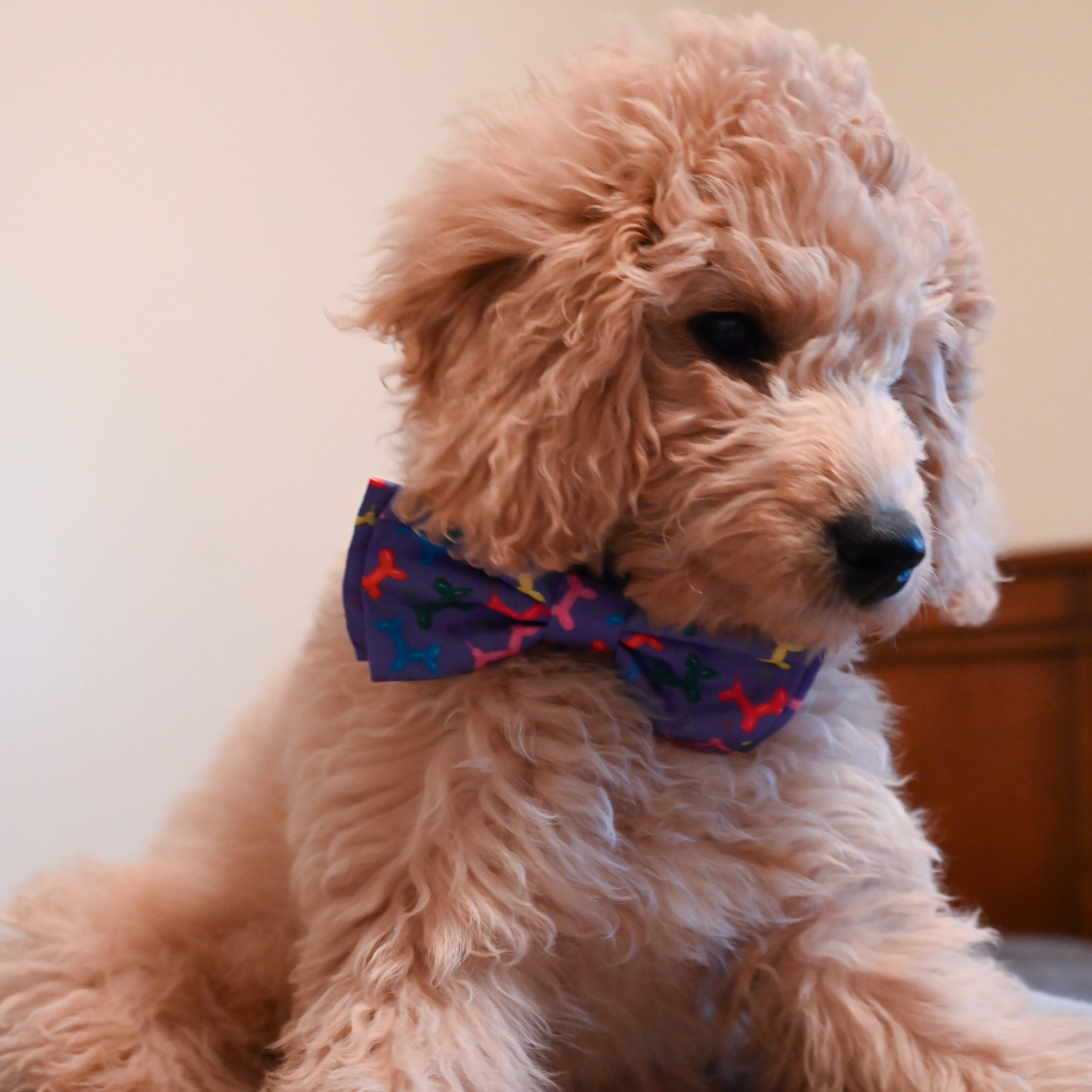 Bow Tie Balloon Doggy