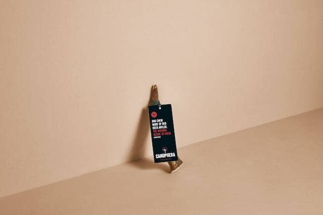 Canophera Red Deer Antler Dog Chews - XS