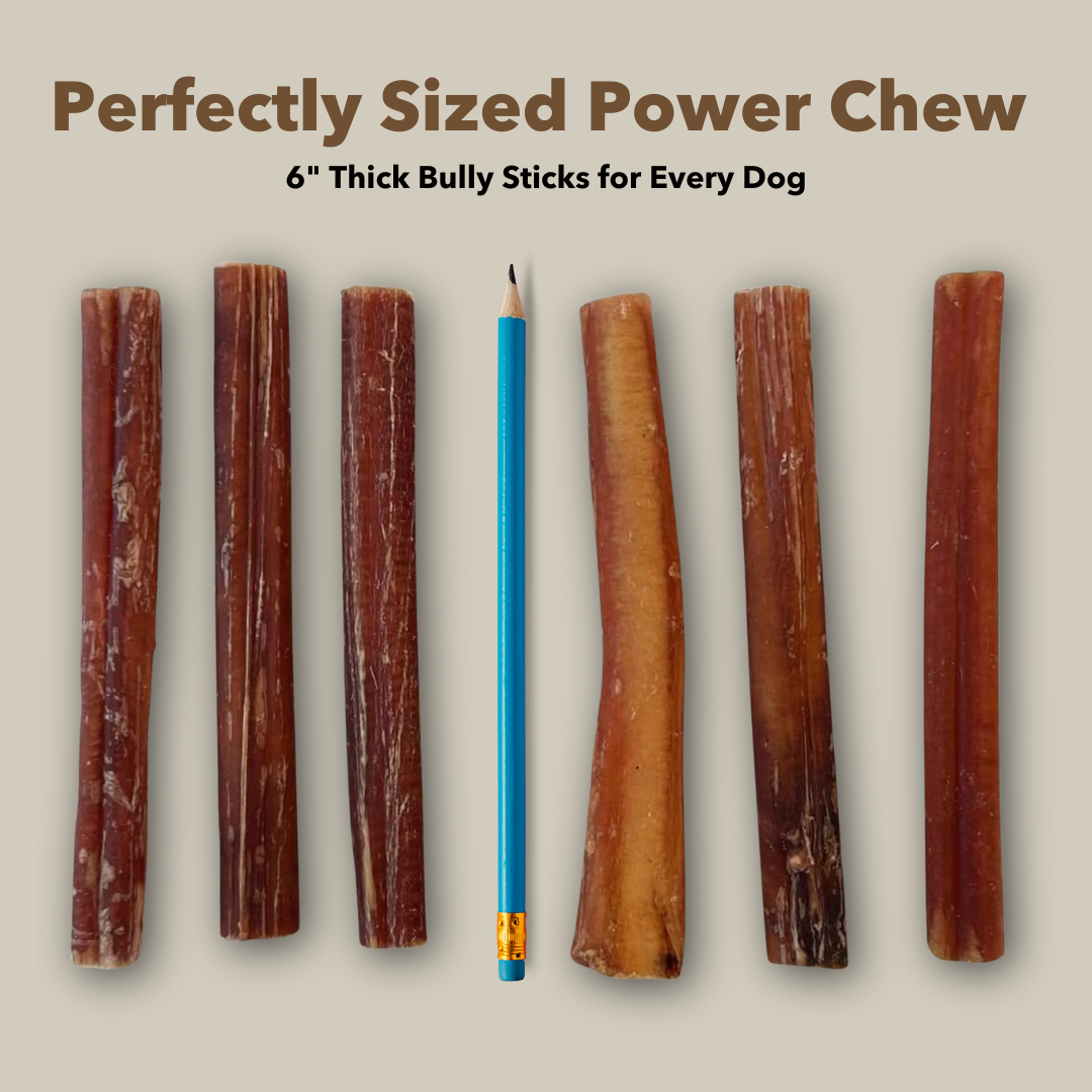 Mighty Chewz - 6" Thick Bully Sticks