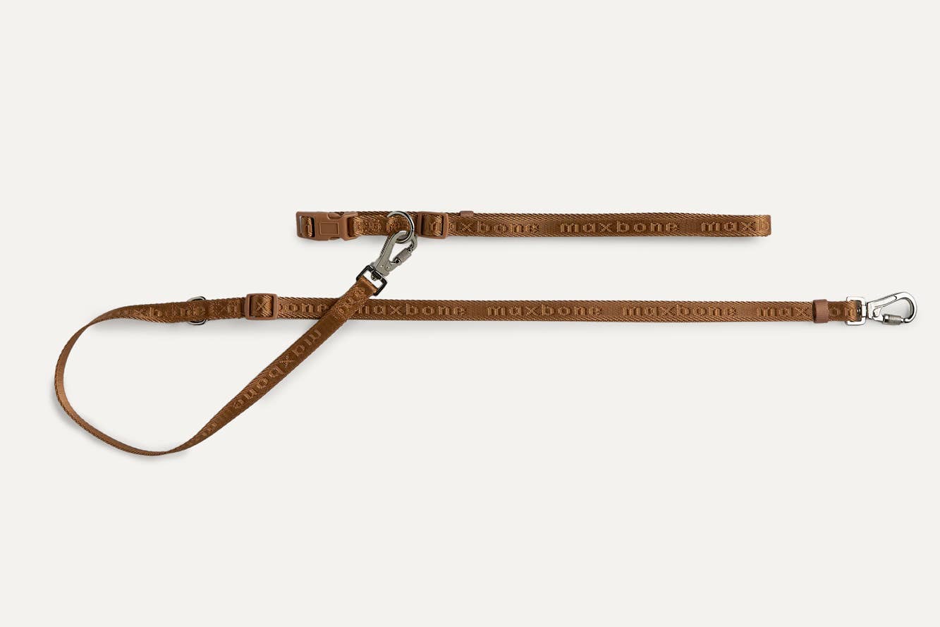 Mini Go with Ease Hands Free Dog Leash: Light Grey