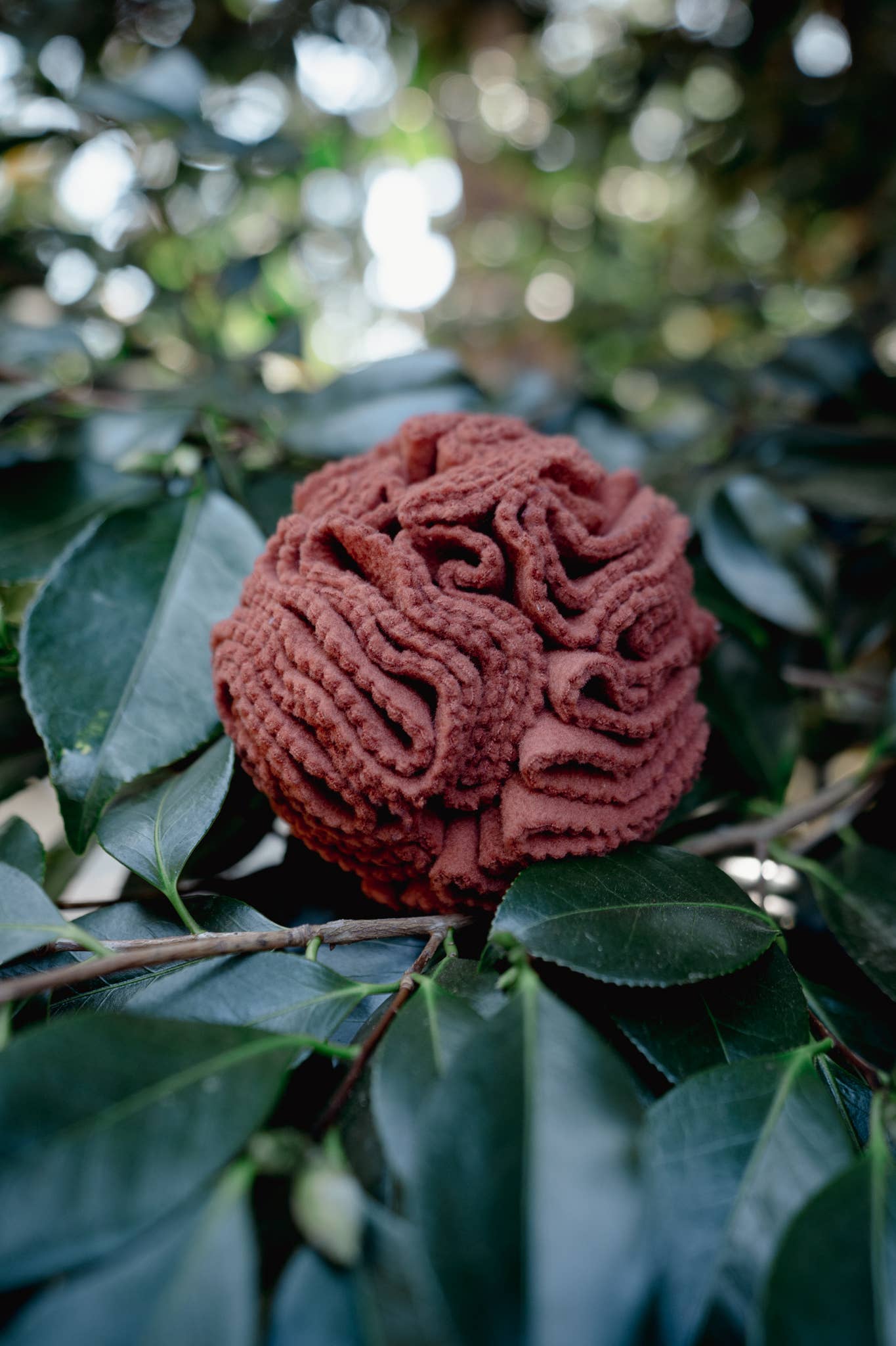 Love Liparu - Snuffle Ball