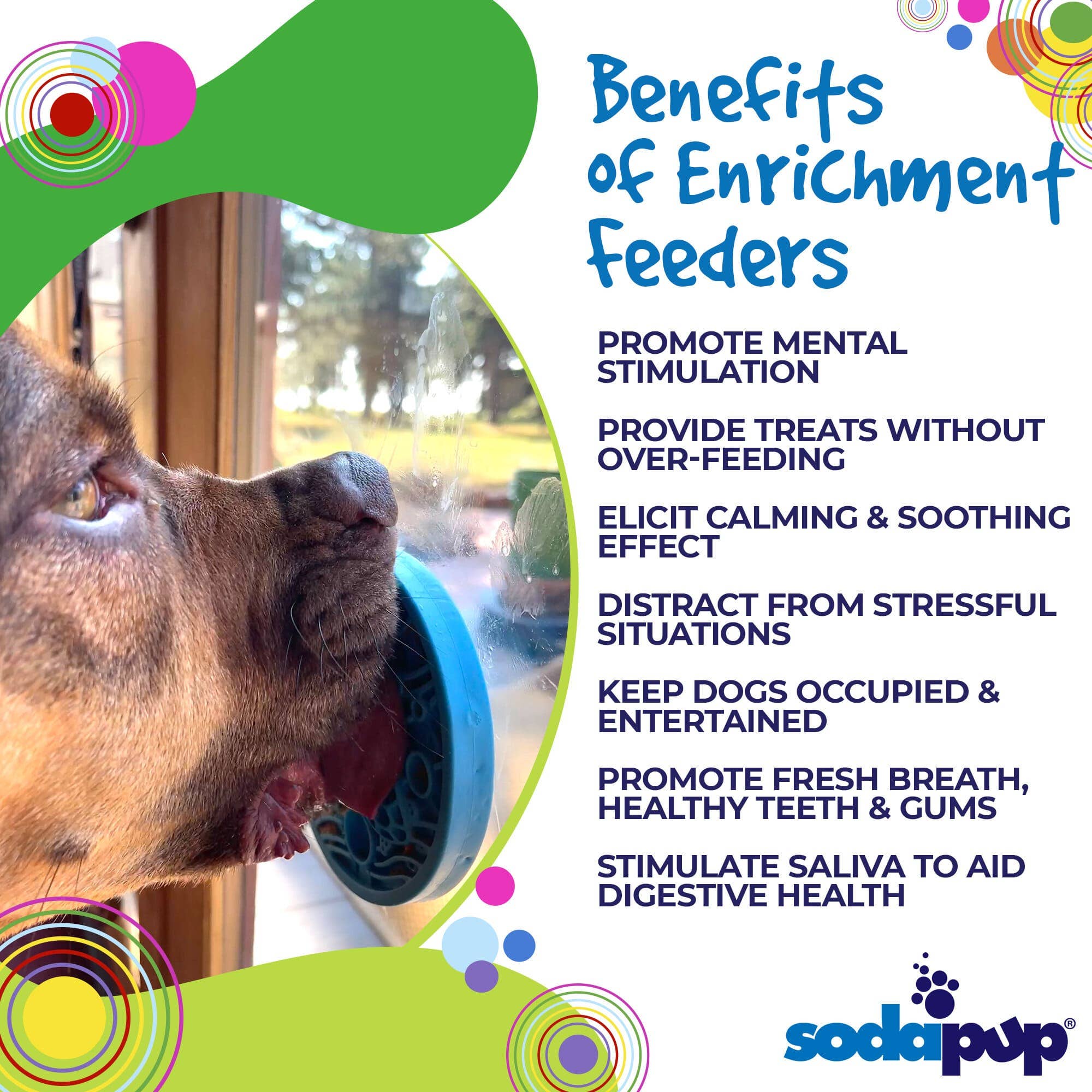 SodaPup - Turtle emat-mini Enrichment Lick Mat With Suction Cups
