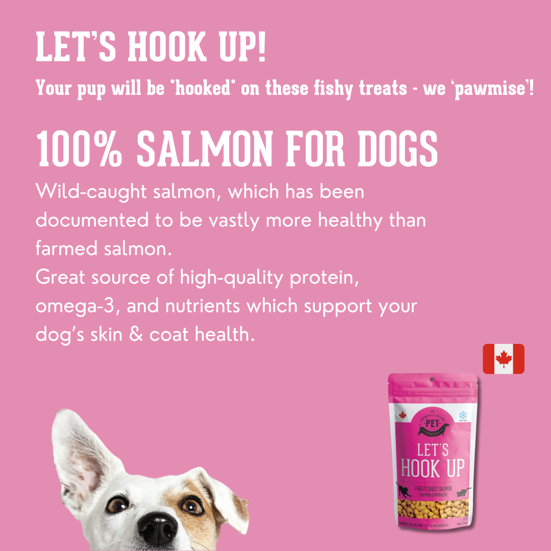 Freeze Dried Wild Salmon Treat For Dogs 50g