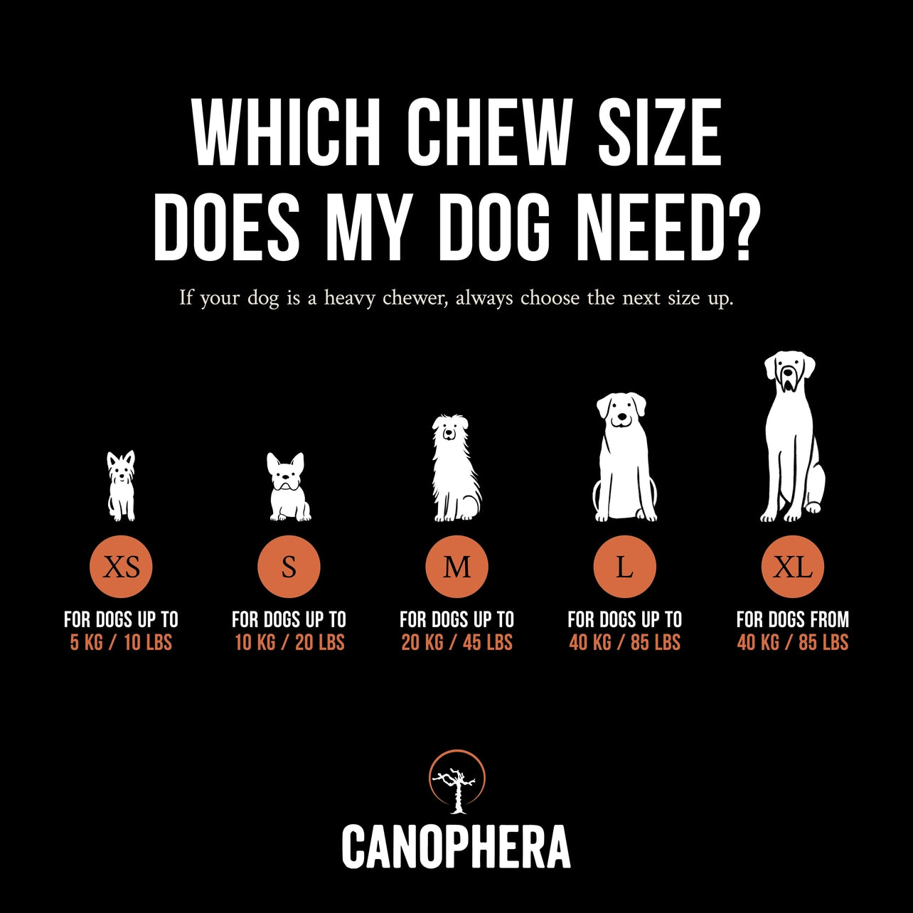 CANOPHERA Briar Root Dog Chews