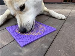 Bone Emat Enrichment Licking Mat