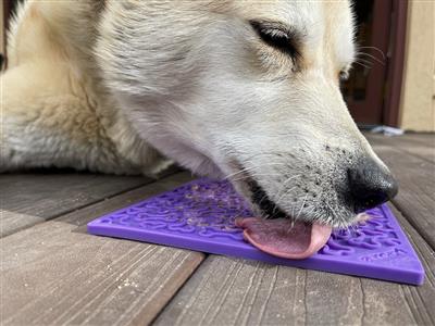 Bone Emat Enrichment Licking Mat