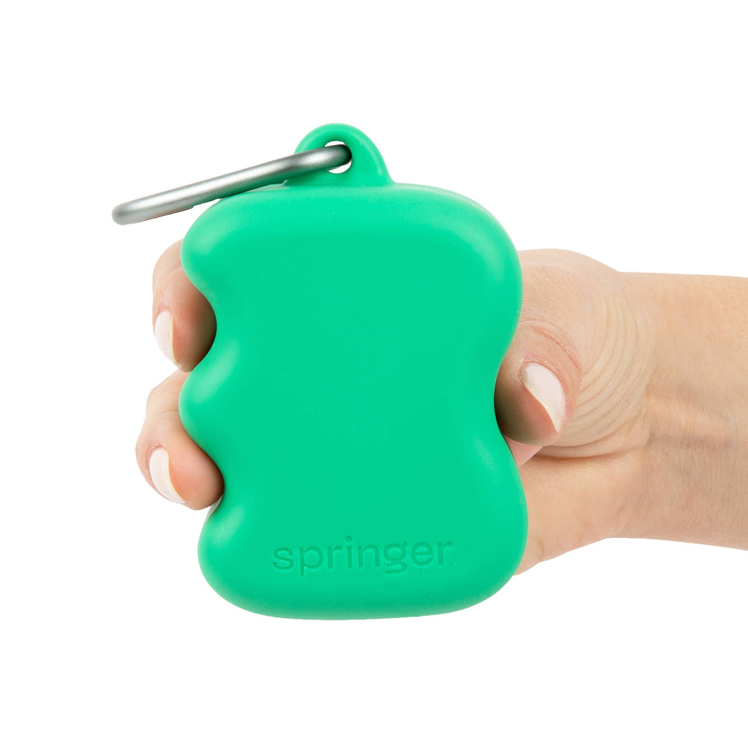 Springer Silicone Dog Treat Dispenser Pouch