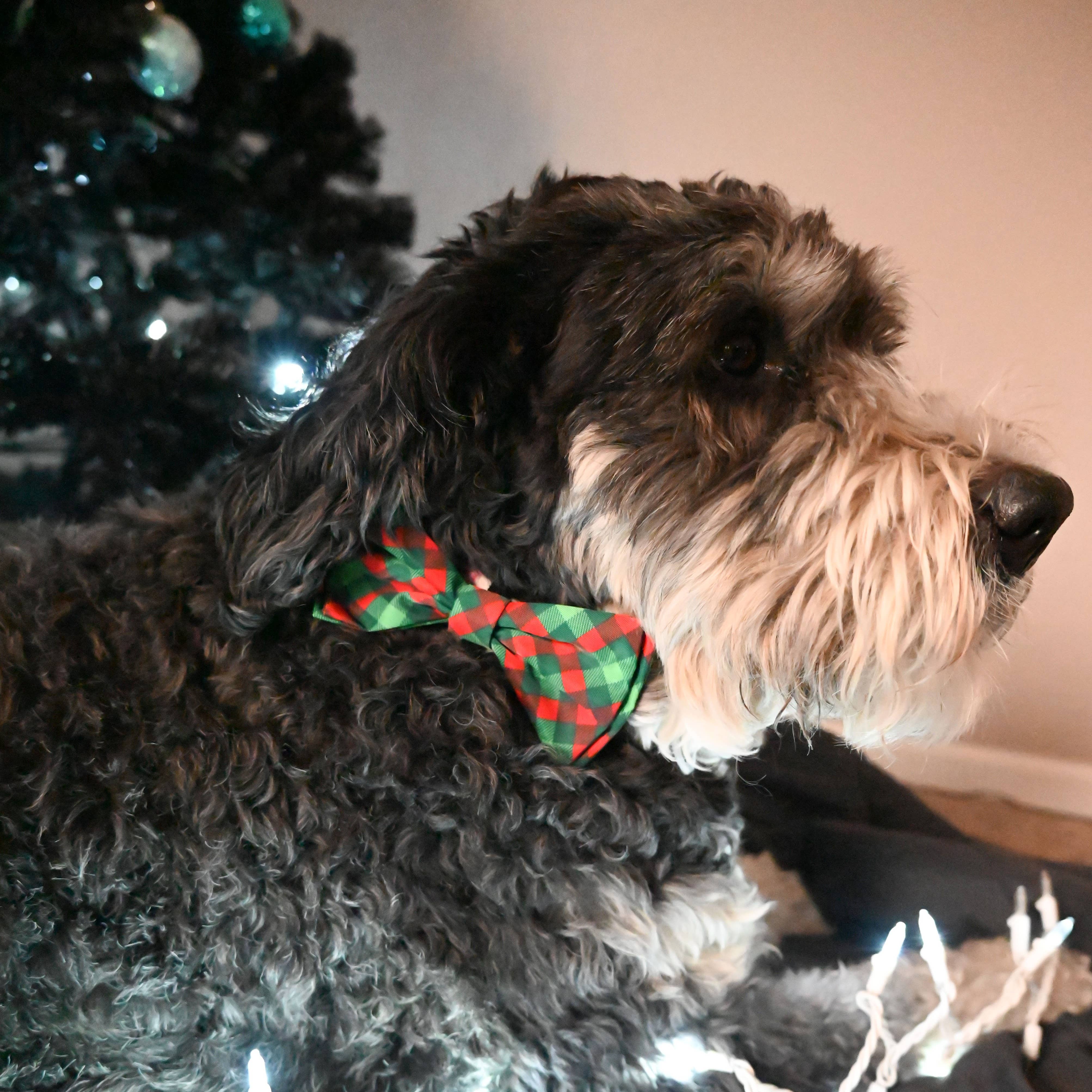 Bow Tie Scottish Check