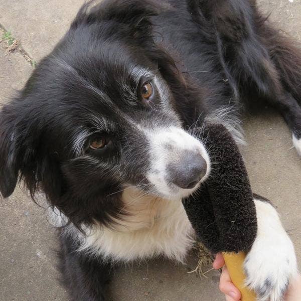 Ethical Global EcoMax Wash & Groom Pet Brush