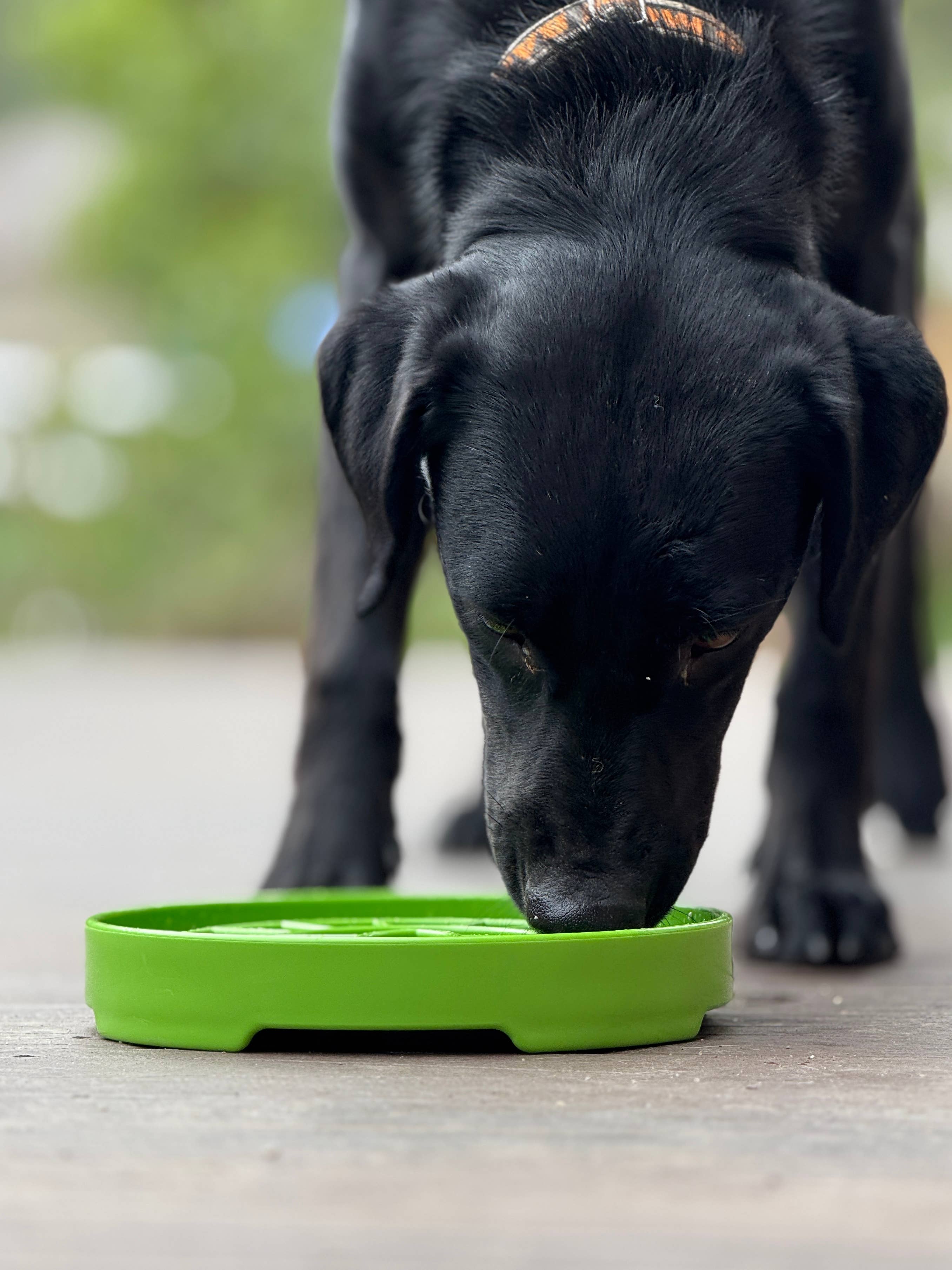 SodaPup Dog Toys - Garden Design eTray Enrichment Slow Feeder Tray for Dogs - Apple Green