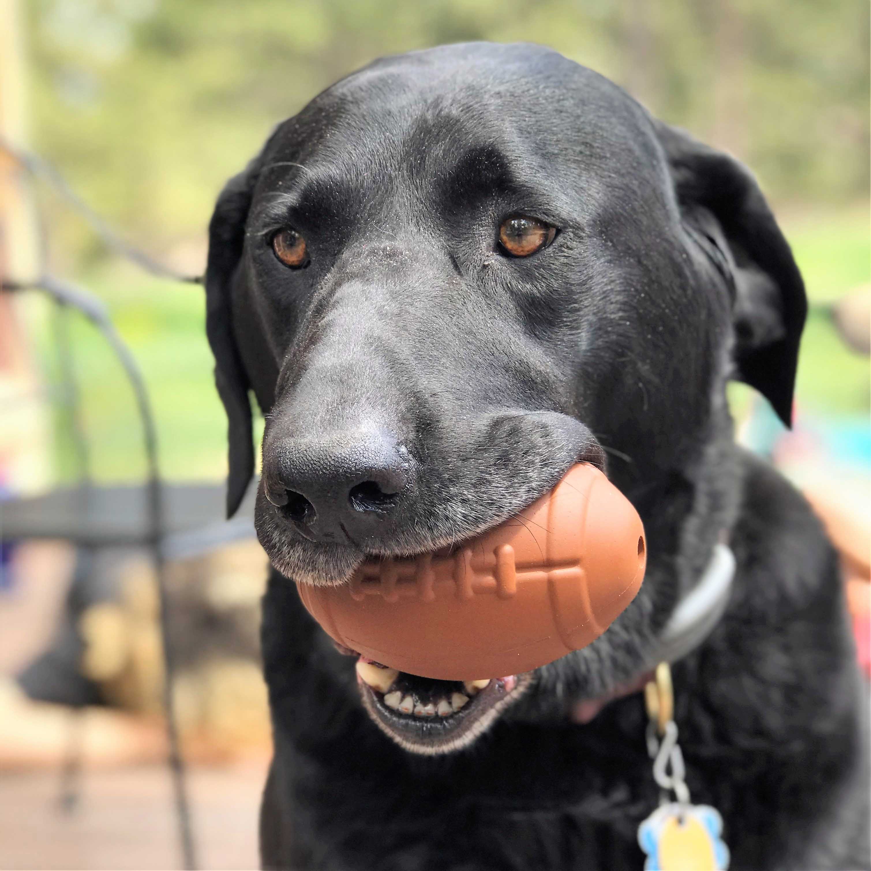 SodaPup - MKB Football - Chew Toy - Treat Dispenser - Large
