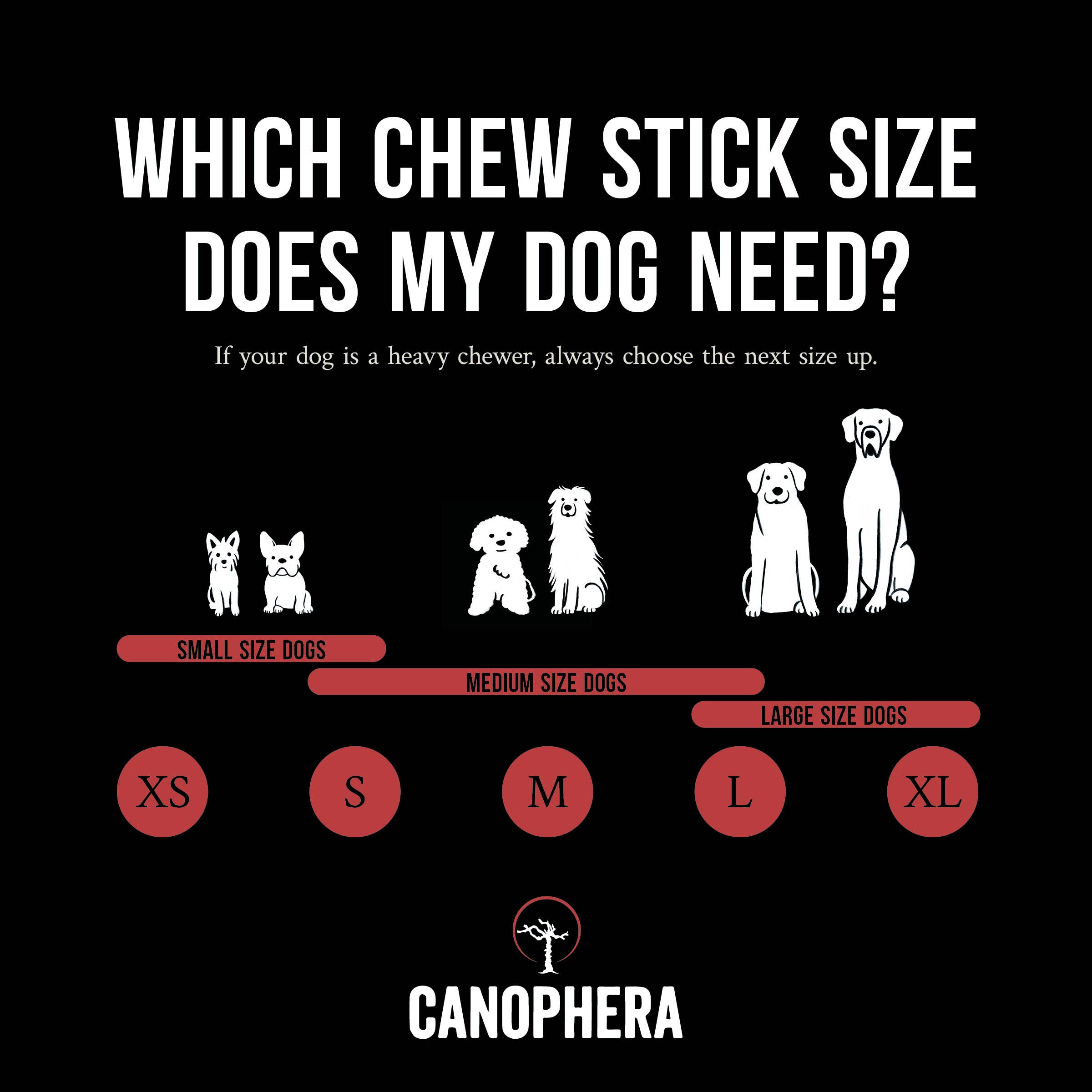 Canophera Red Deer Antler Splits Dog Chew