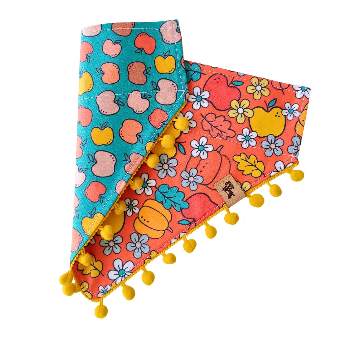 Charlie & the Hound - Fall Apple & Pumpkin - Reversible Dog Collar Bandana