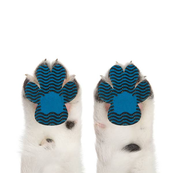 BRIGHT IRIS - Silicone Dog Paw Protector