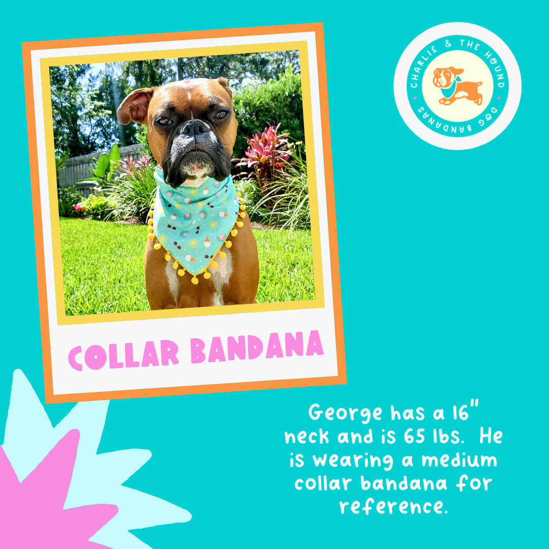 Charlie & the Hound - Patriotic Rainbows - Reversible Dog Collar Bandana