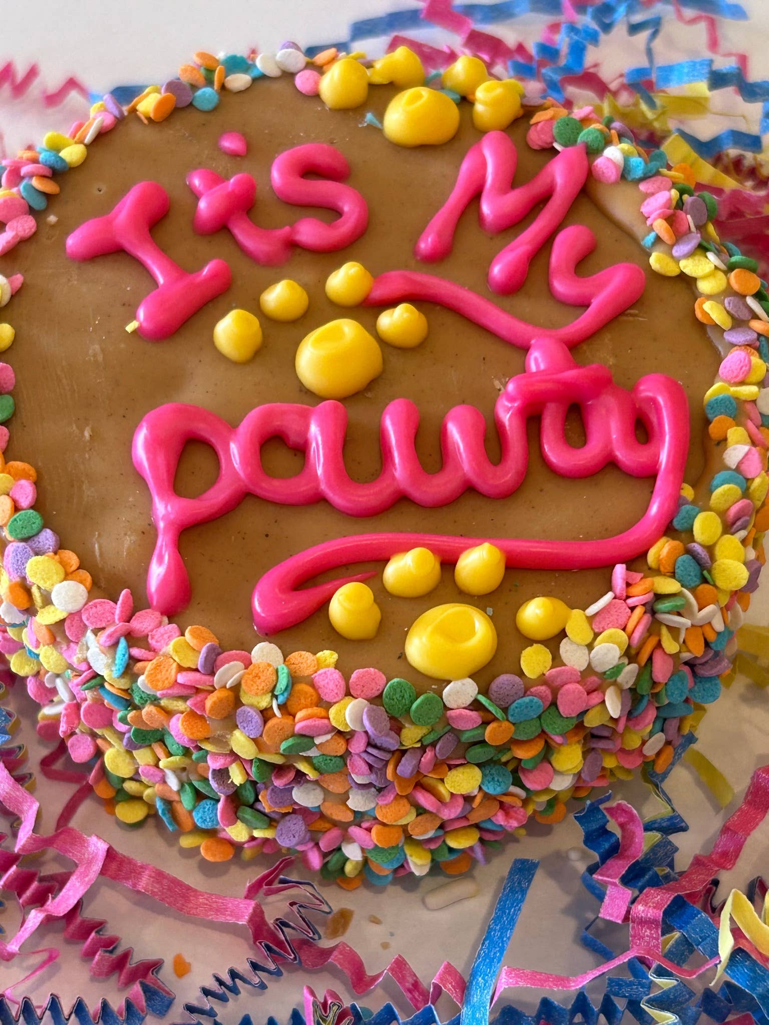DELCO DOG CO. - PB Let's Pawty Mini Confetti Doggie Cakes