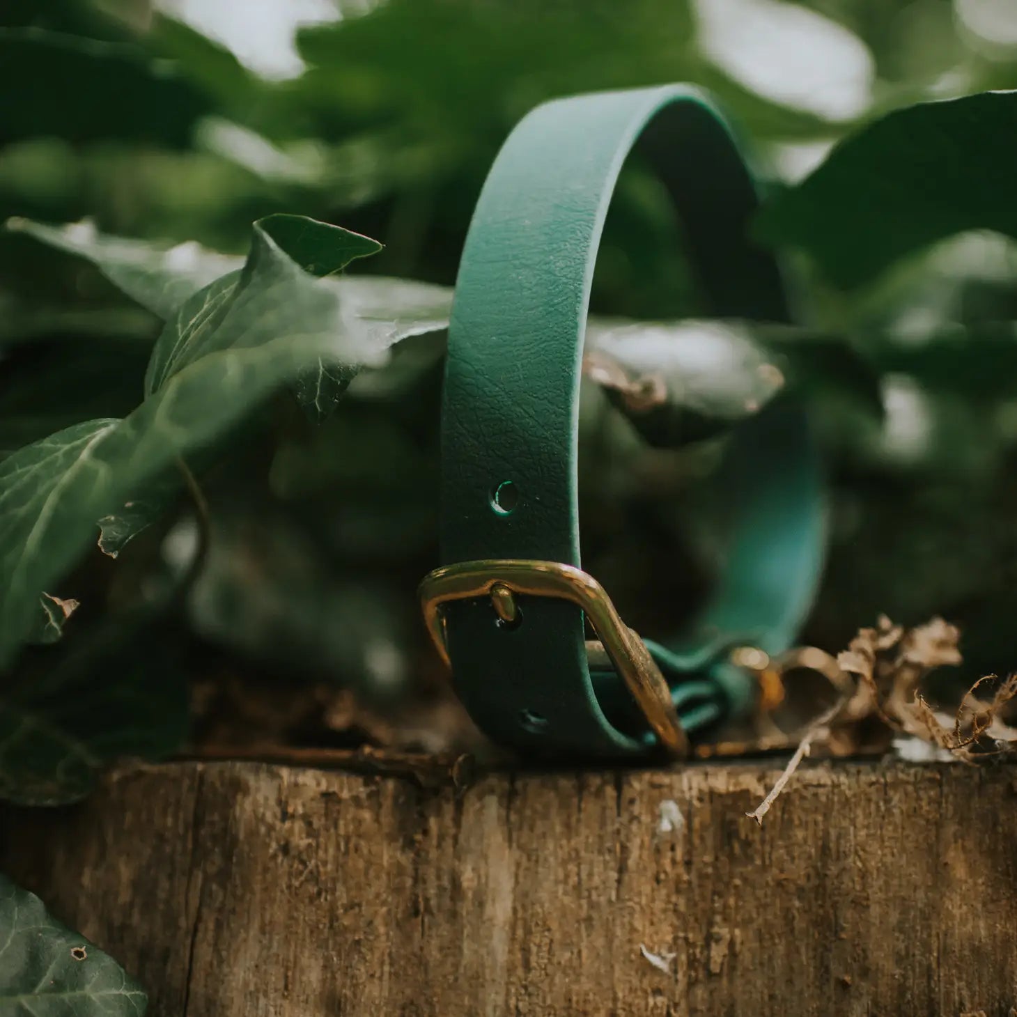 FoxMoth - Biothane Dog COLLAR Solid Brass Hardware- WALNUT