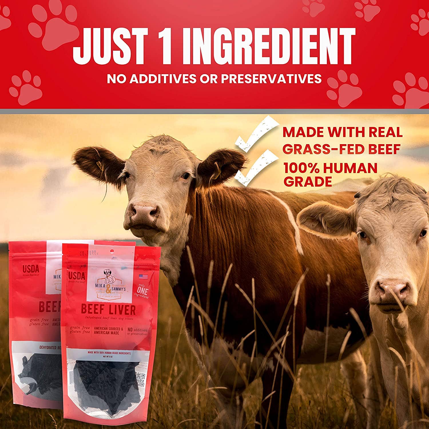 Mika and Sammy's Blazin' Beef aka Beef Liver Dog Treats 5 oz.