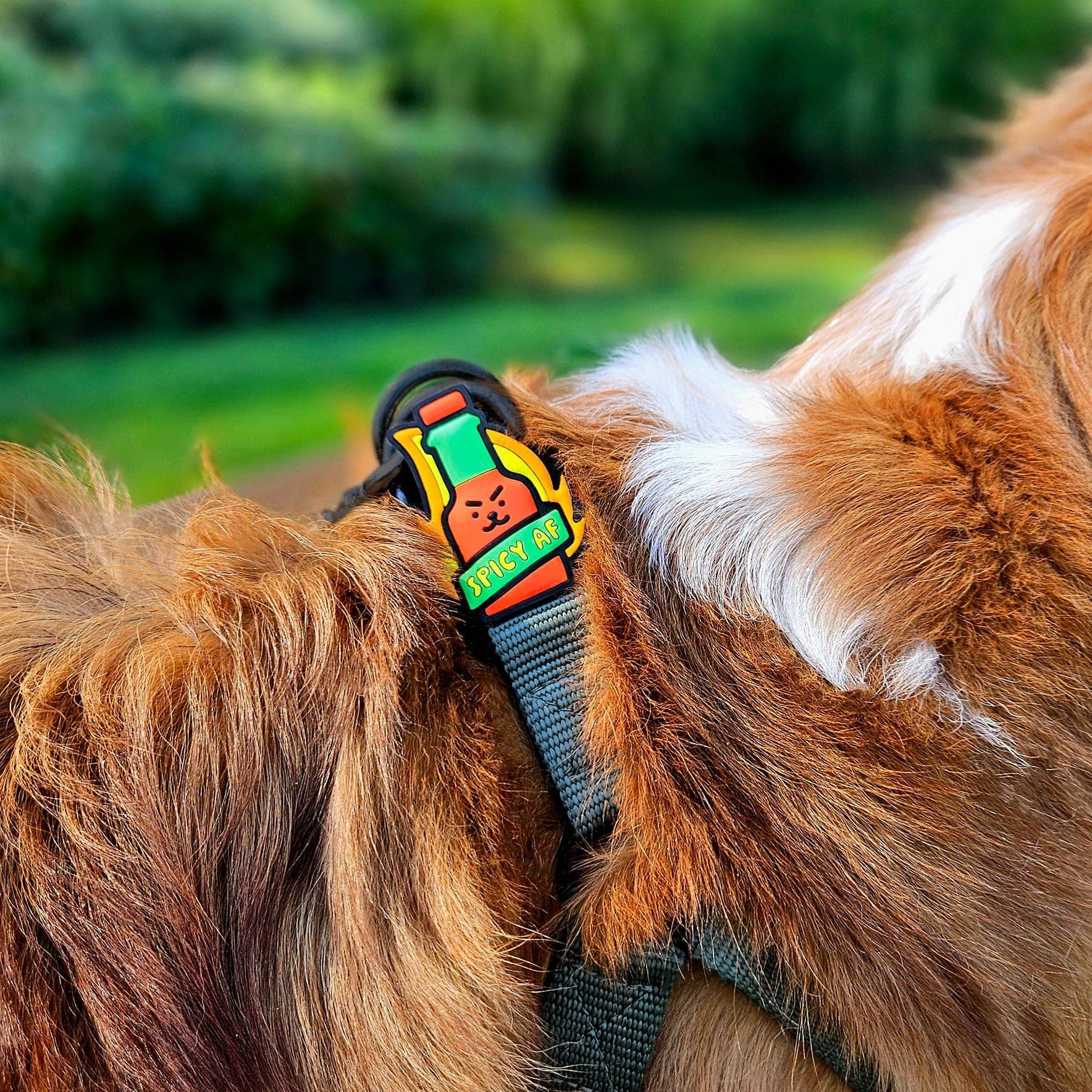 Jiby Dog Crew - Hot Sauce Dog Jiby