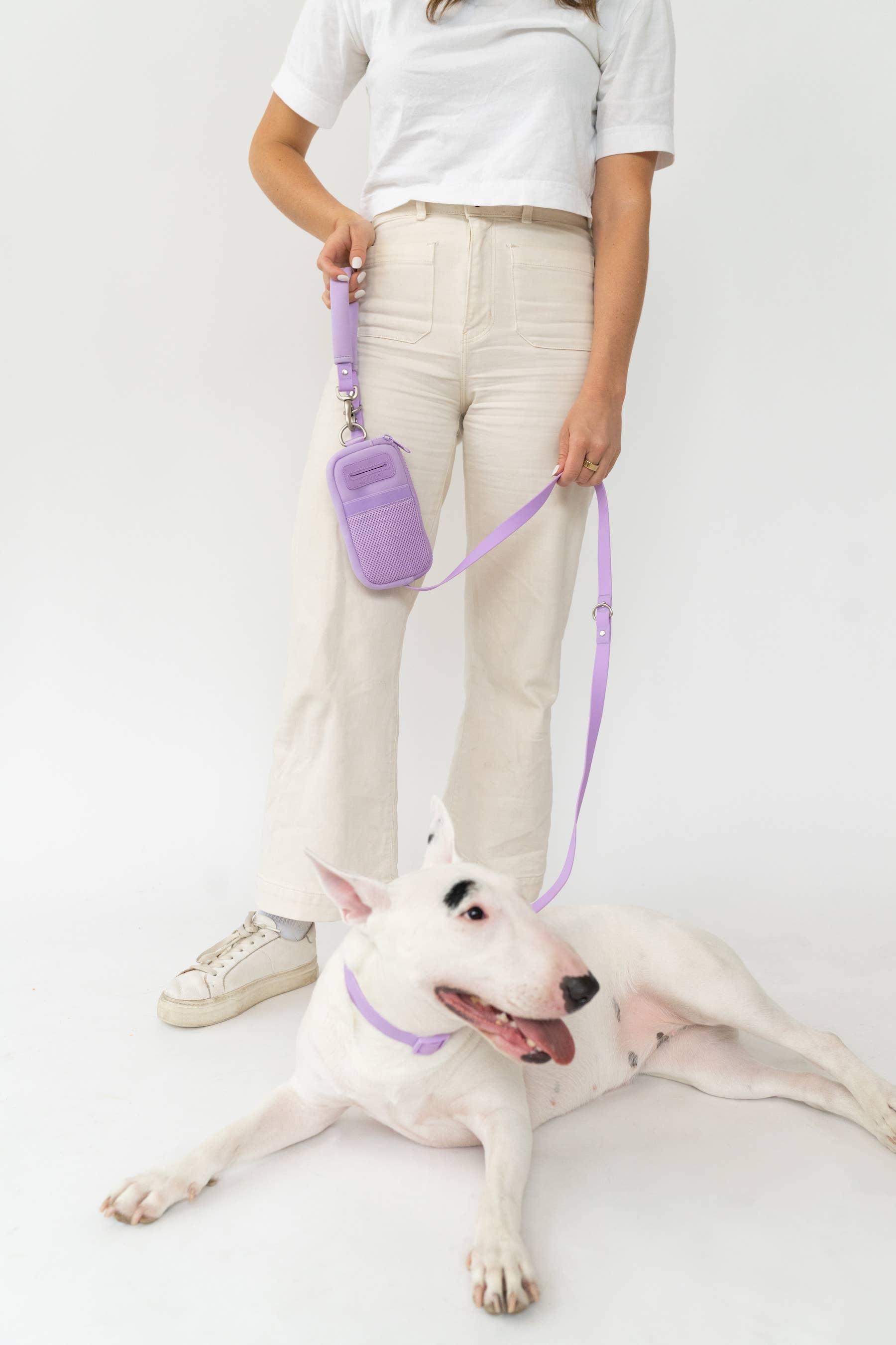 Springer - Walk Bag With Dog Leash