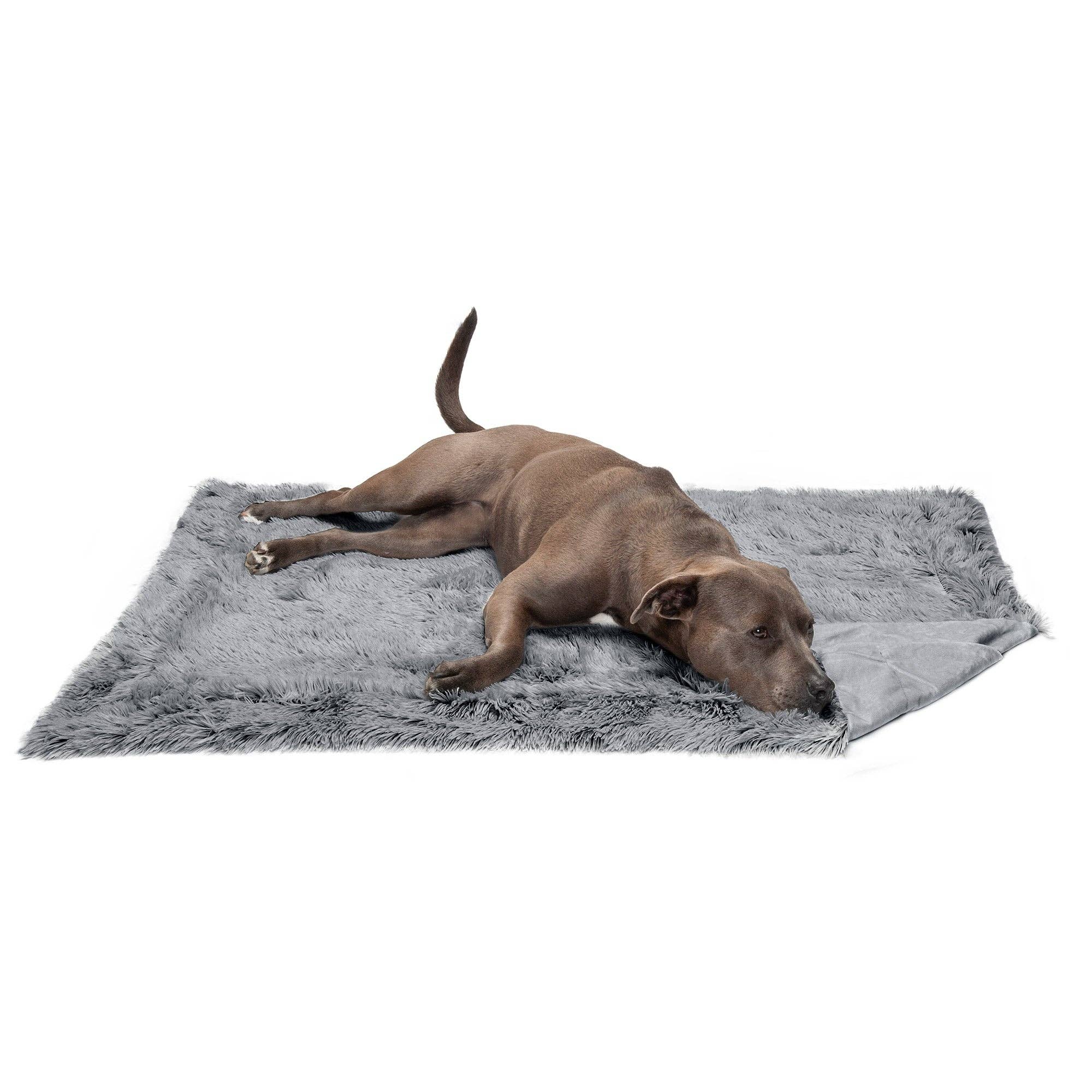 Long Fur & Velvet Pet Throw Blanket: Mist Gray / Extra Large