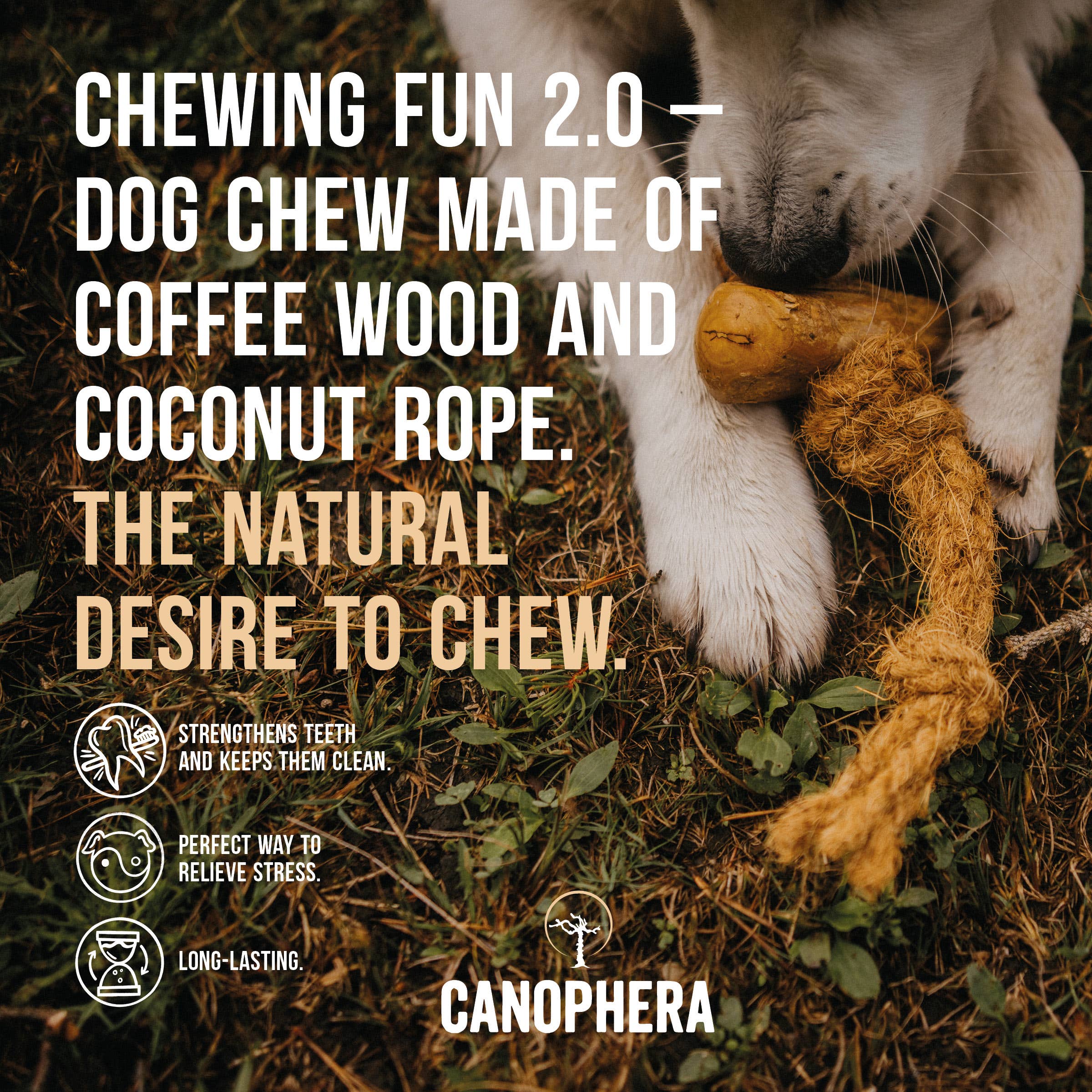CANOPHERA LLC - Dog Chew Made of Coffee Wood and Coconut Rope.: L / English