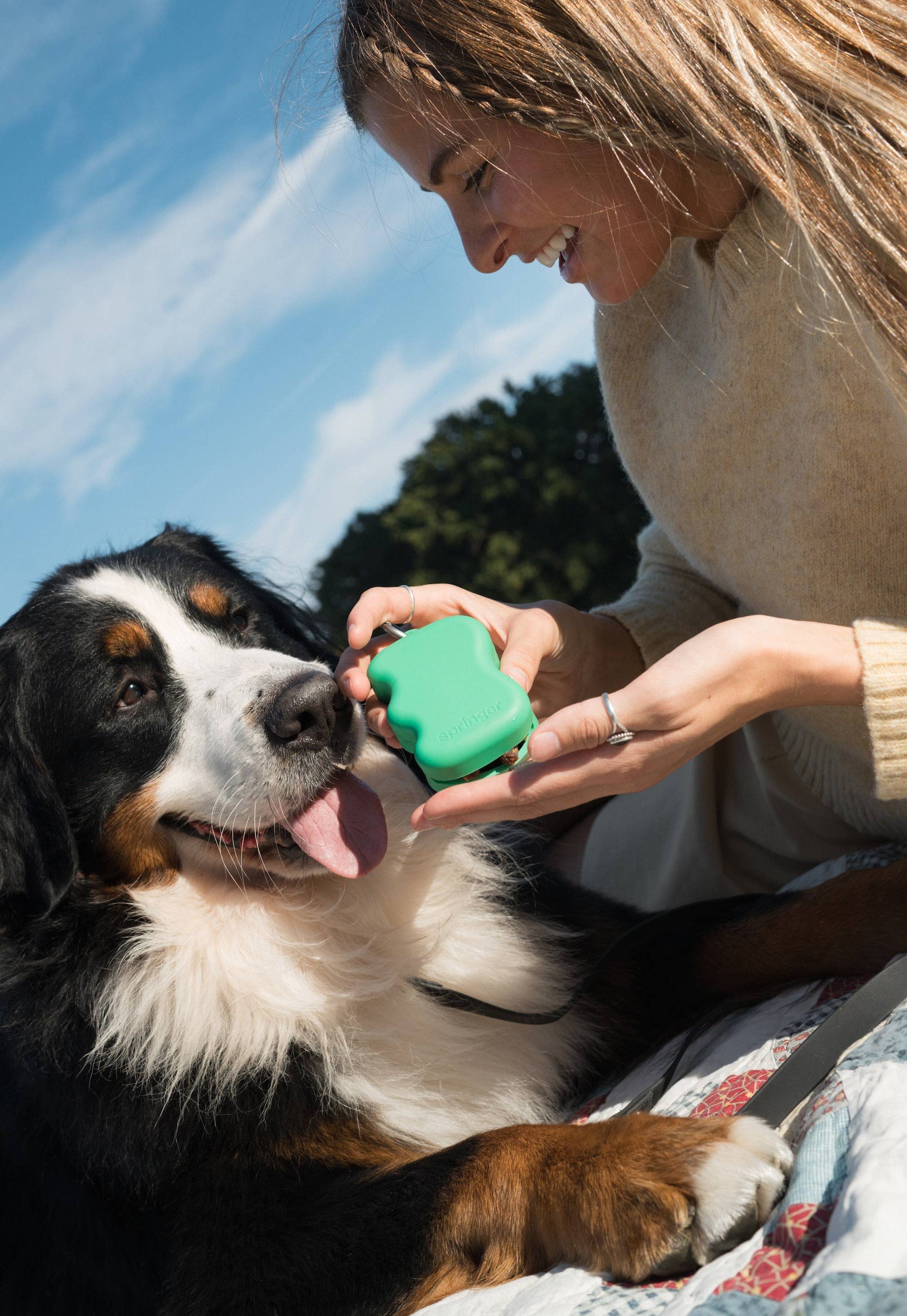 Springer Silicone Dog Treat Dispenser Pouch