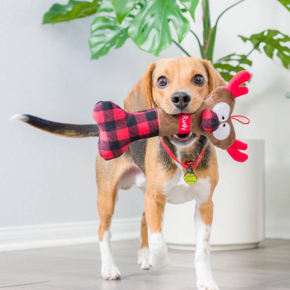 Reindeer Bone