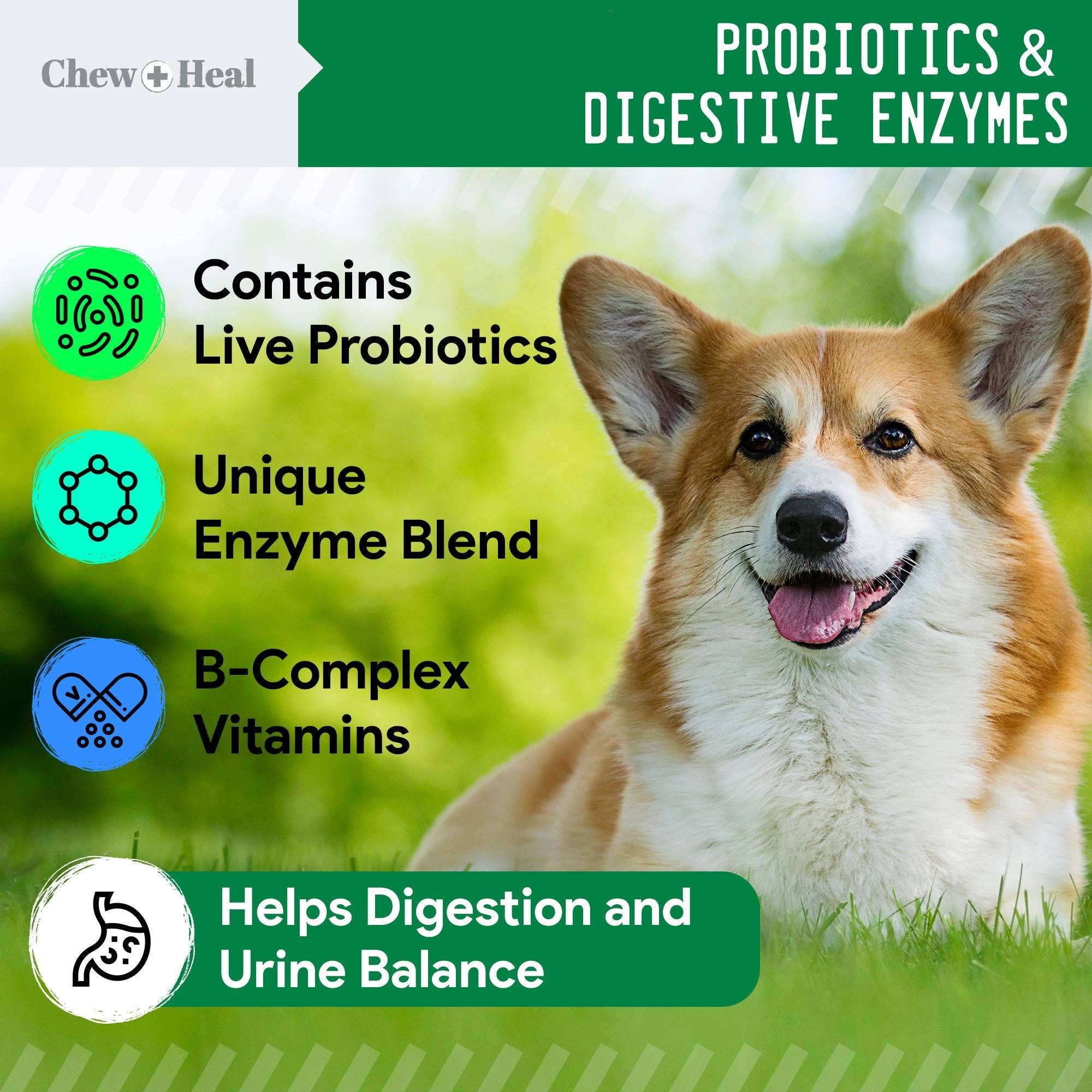 Chew + Heal - Chew + Heal Grass Saver Chews For Dogs| Dog Urine Grass Saver| 120 Soft Chews