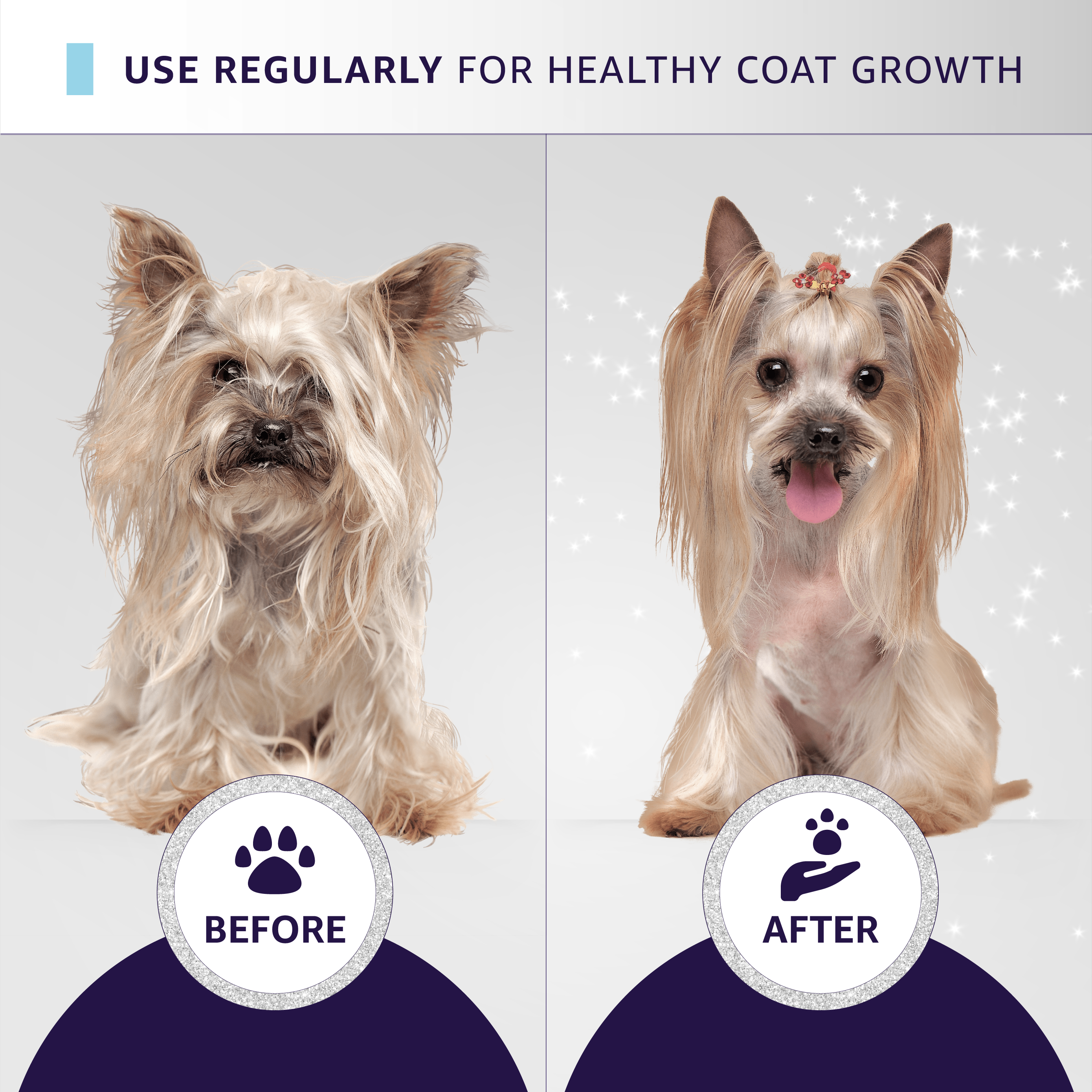 Hydra by Pet Society - Hydra Professional Whitening Shampoo