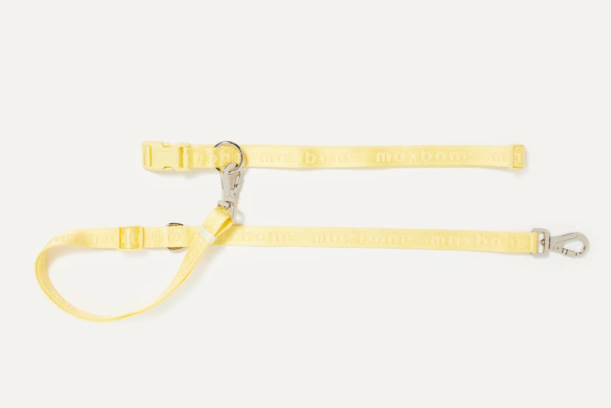Go With Ease! Hands Free Dog Leash: Peach