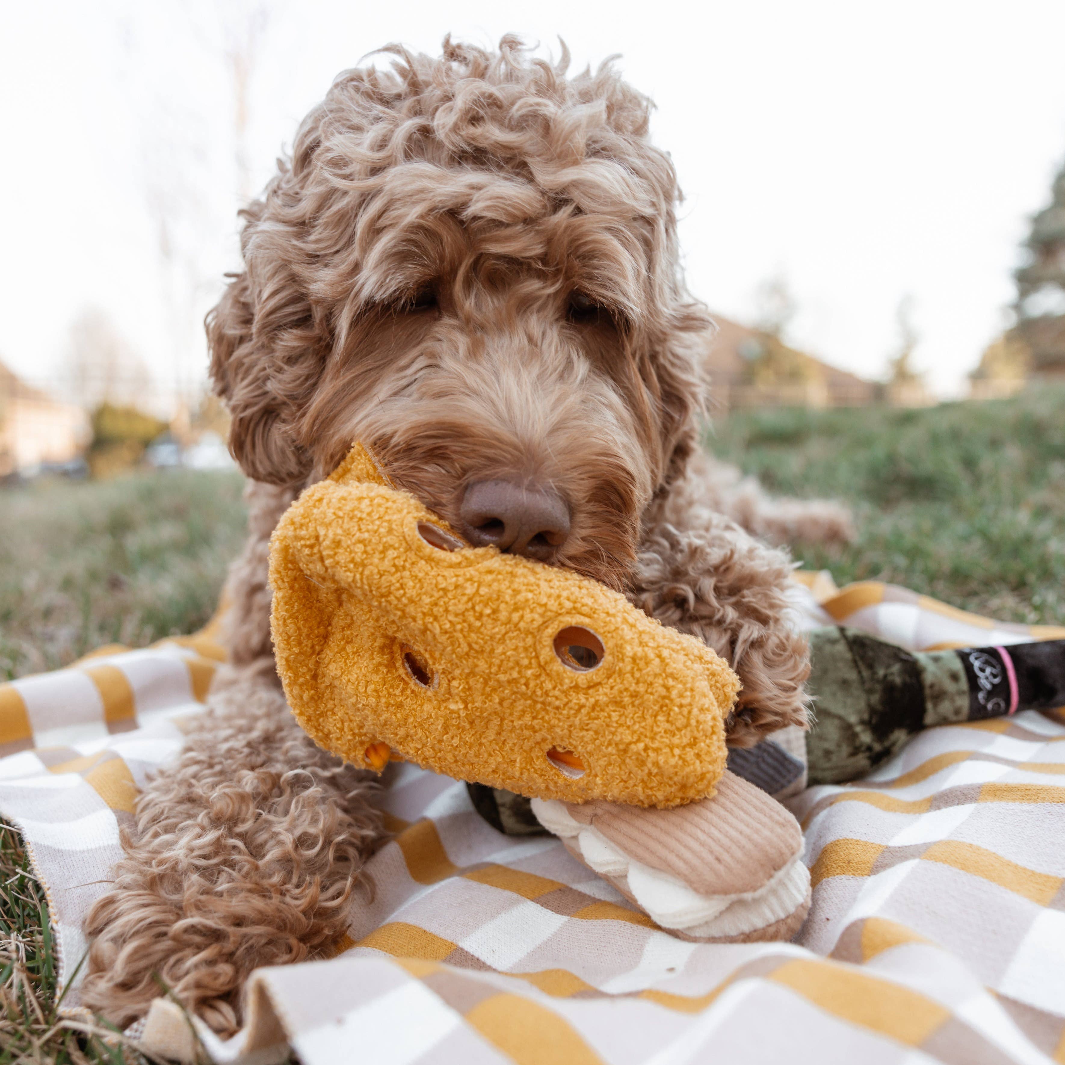 Lambwolf Collective - FROMAGE//ENRICHMENT DOG TOY