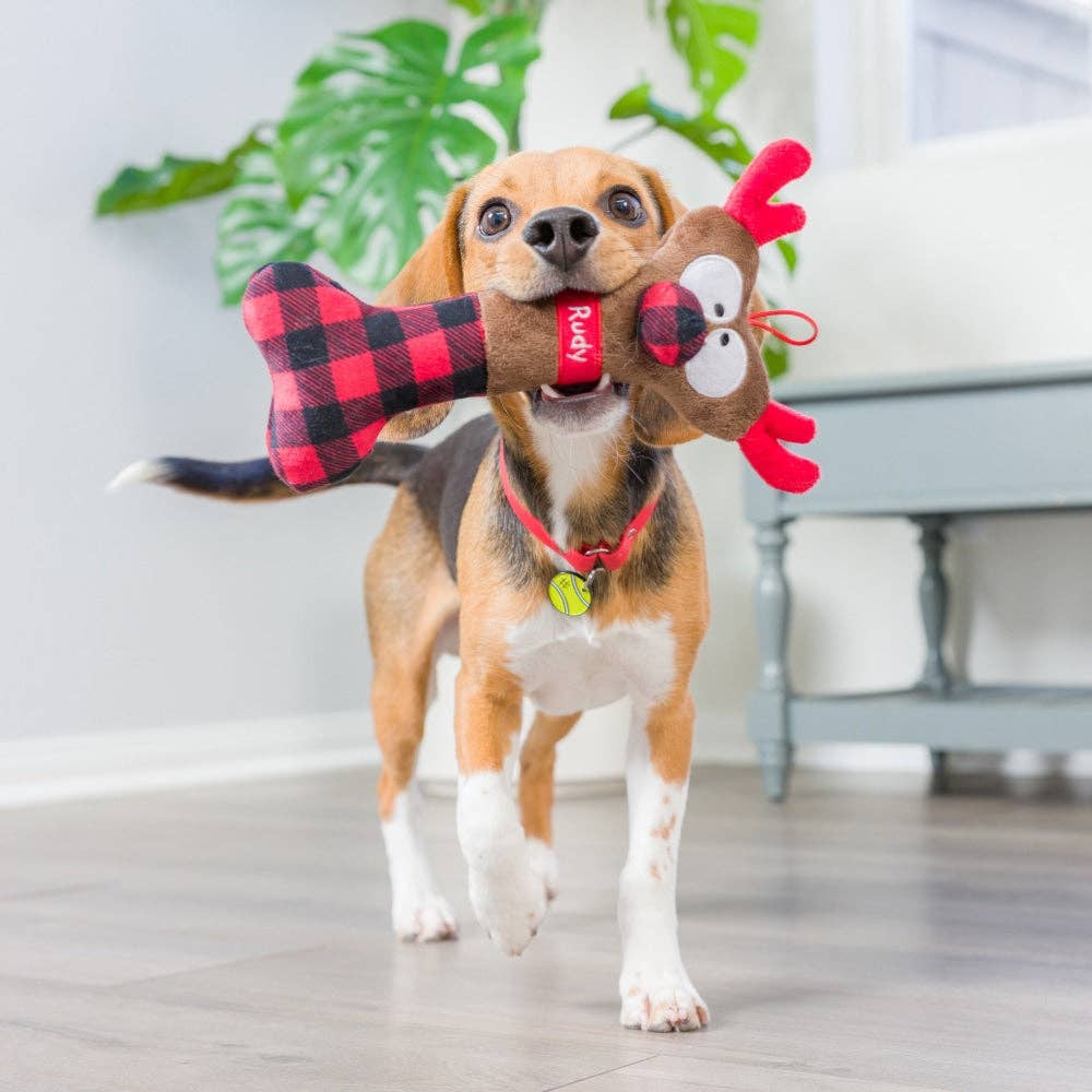 Reindeer Bone