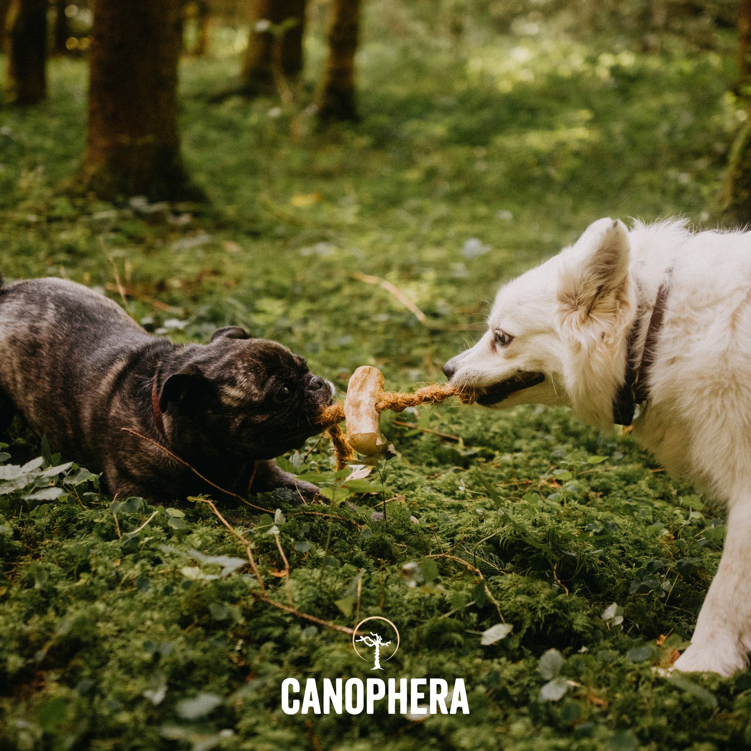CANOPHERA Coffee Wood and Coconut Rope Chew Toy