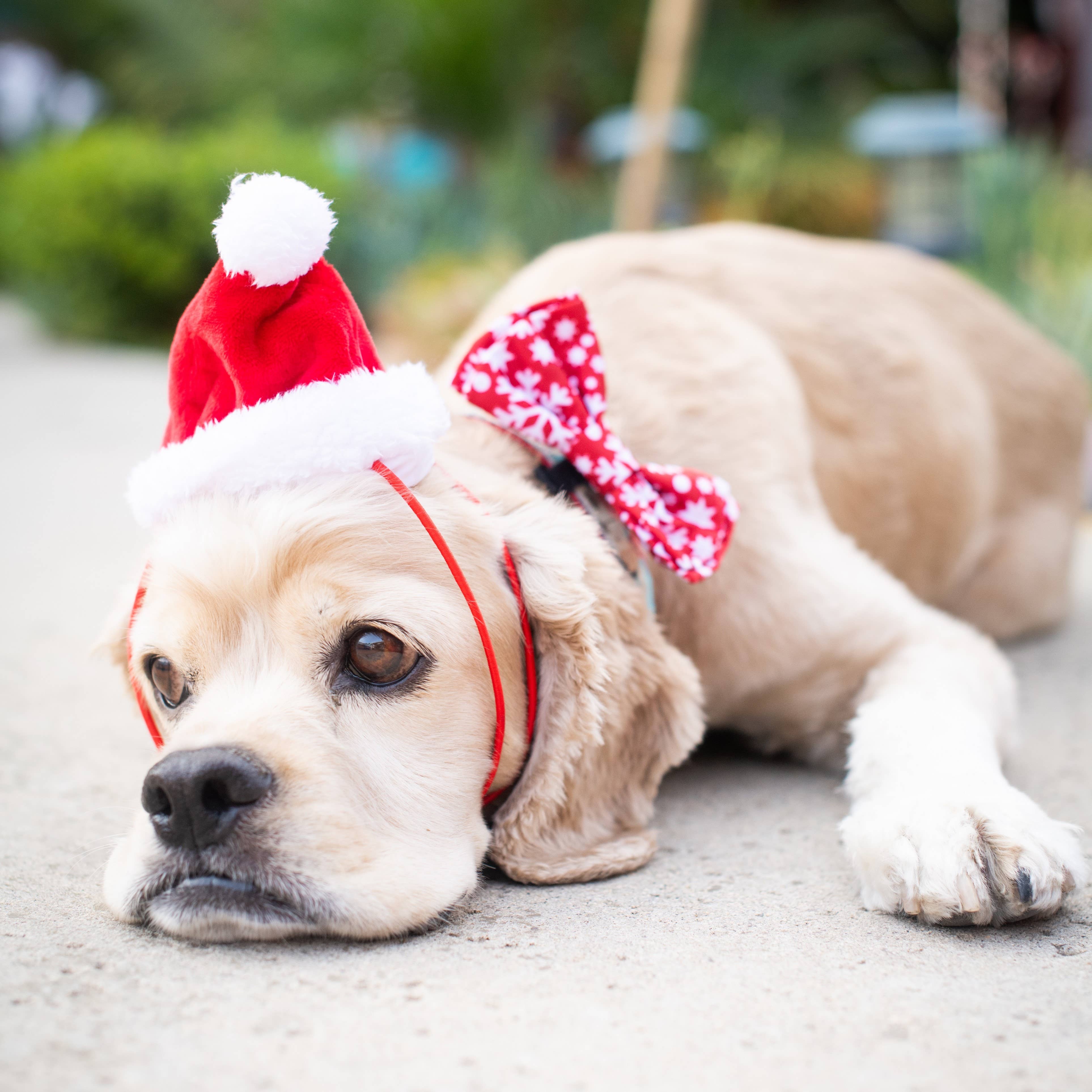 Santa Hat with SnugFit®