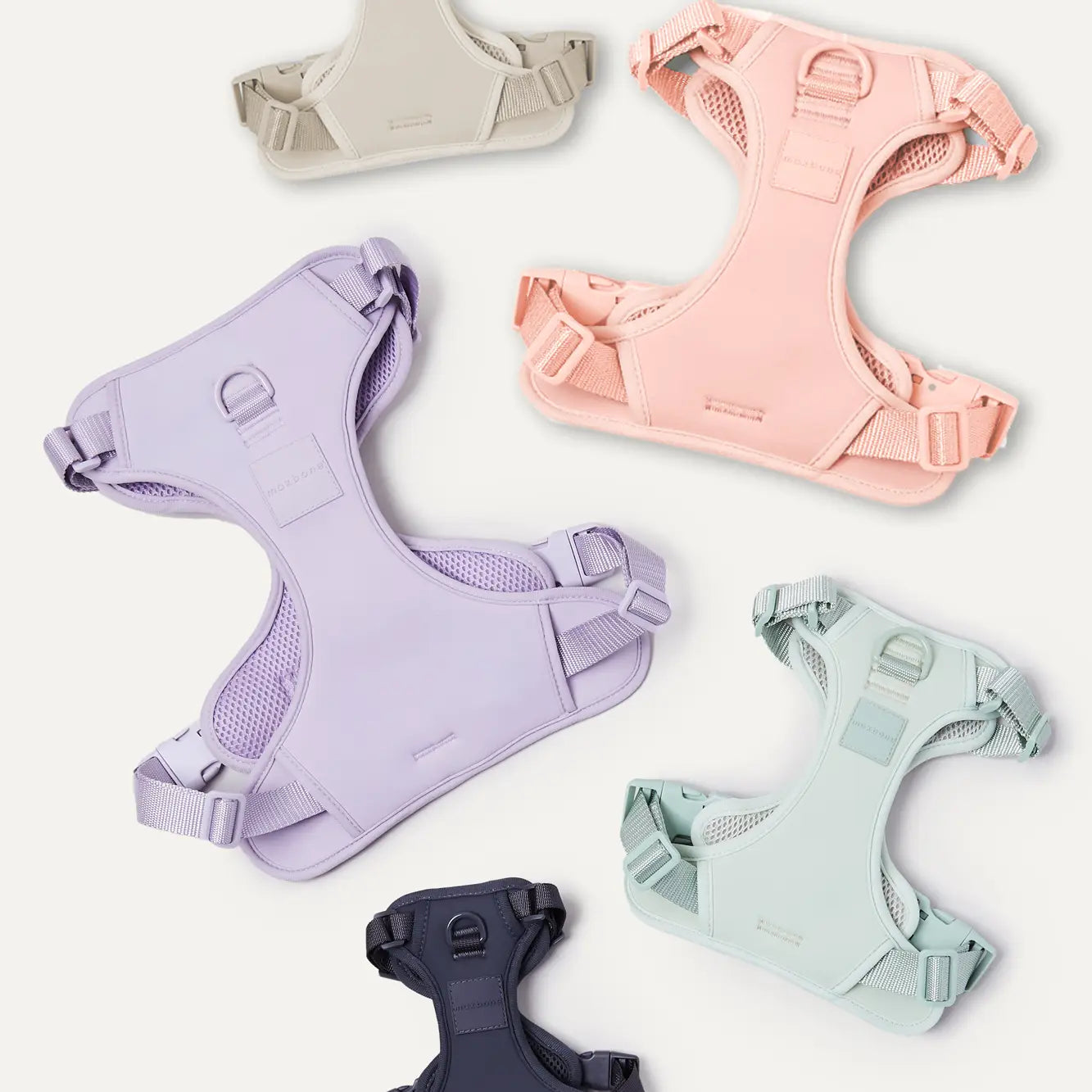 maxbone - Double Panel Dog Harness