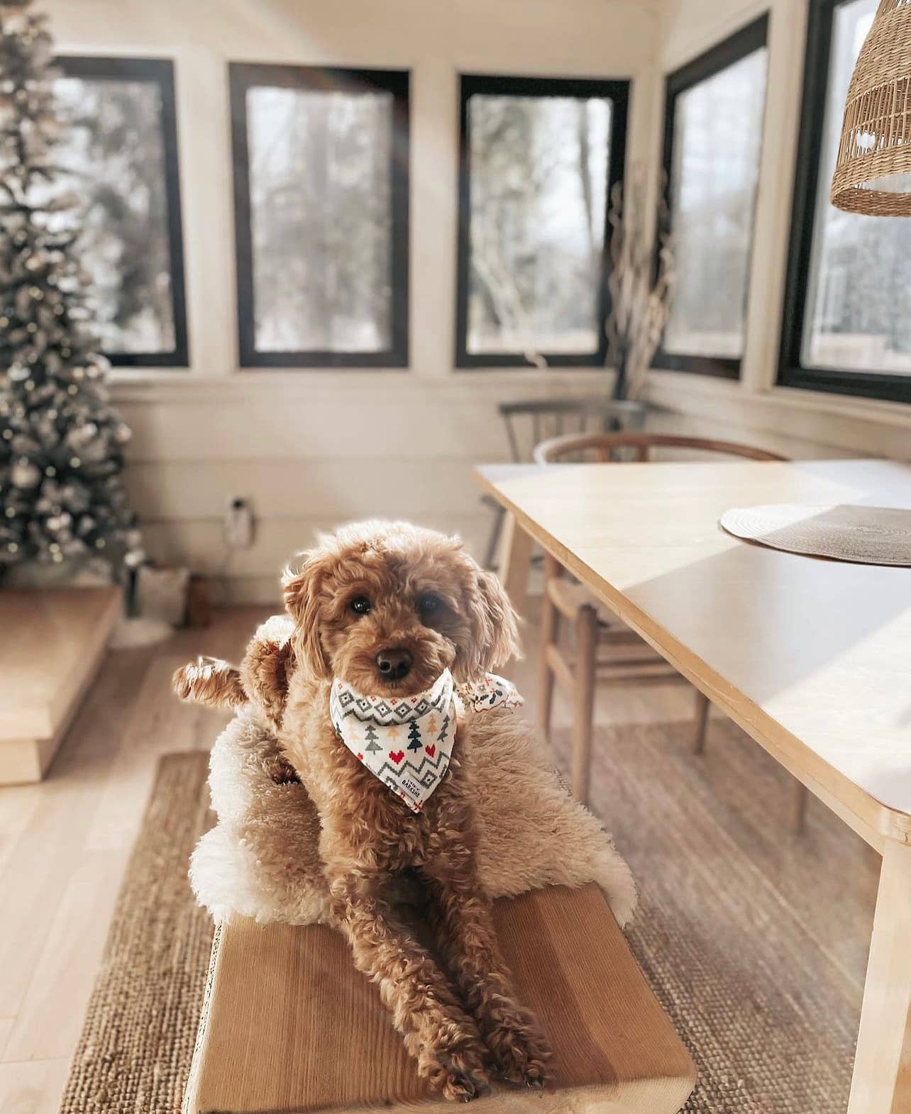 Holiday Dog Bandana // Cozy Cabin Sherpa (Reversible): L