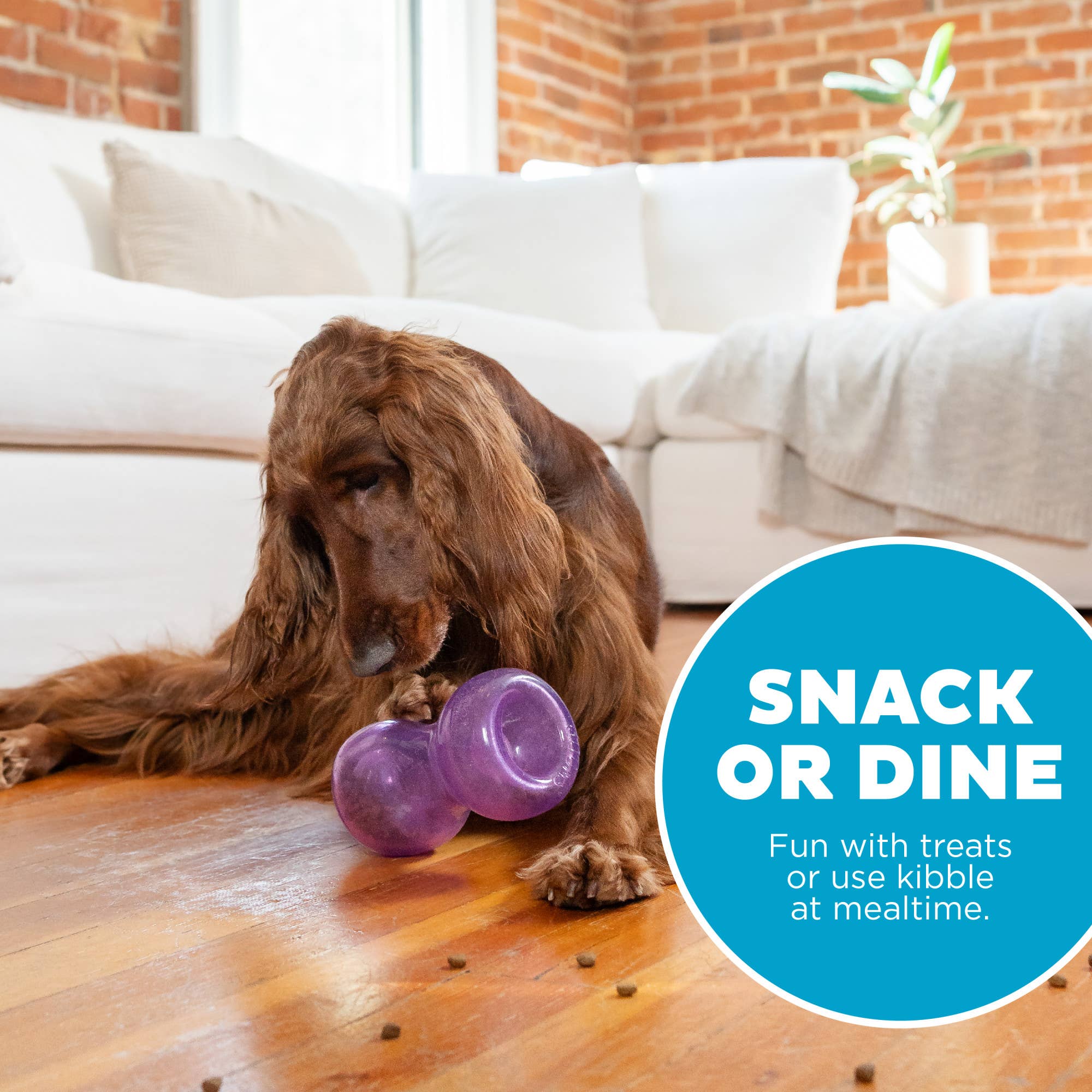 Pet Palette Distribution - Planet Dog Orbee-Tuff Double Snoop Interactive Dog Toy