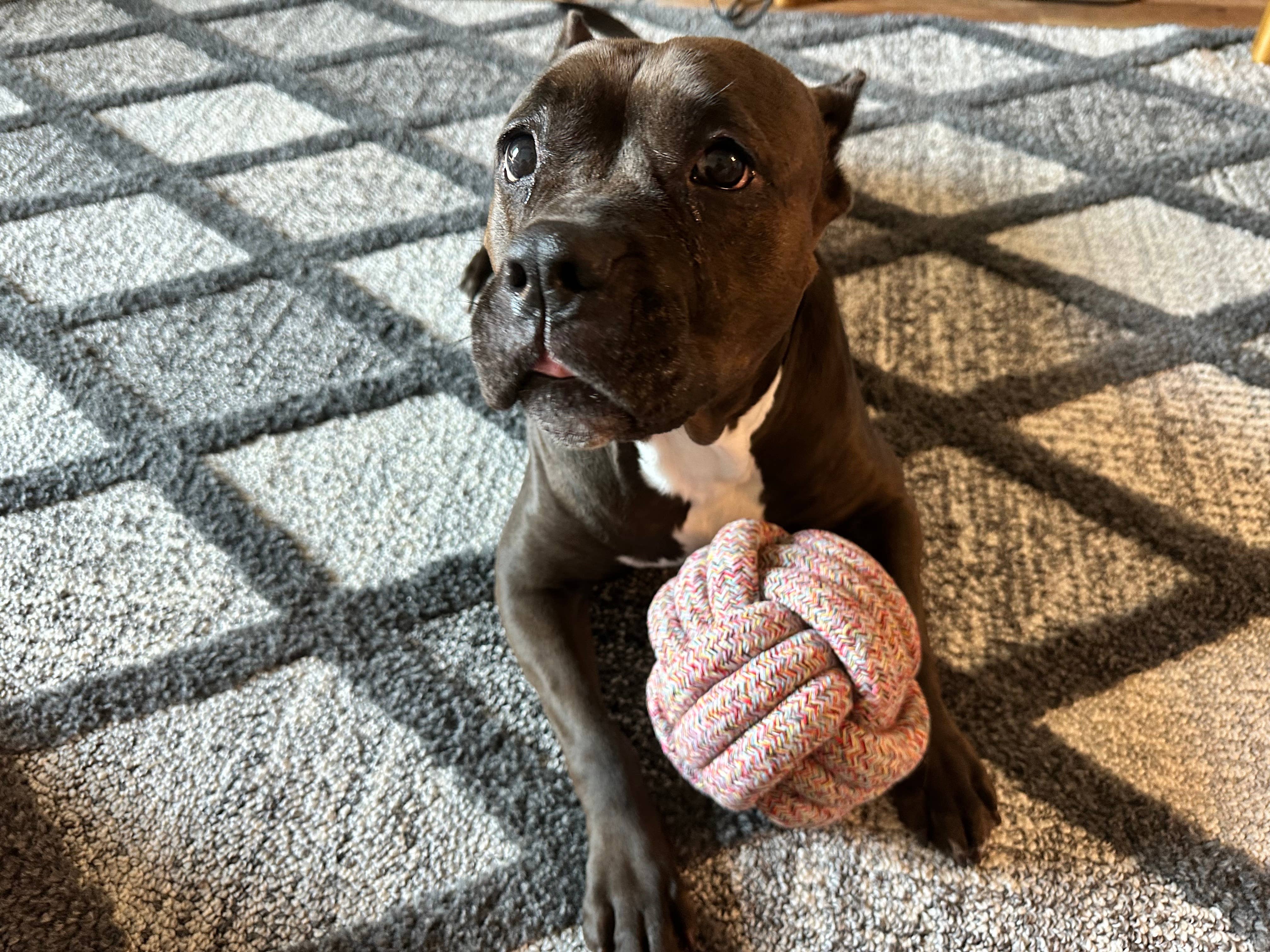 Handmade Large Rope Balls, Sustainable Dog Rope Toys, Unique