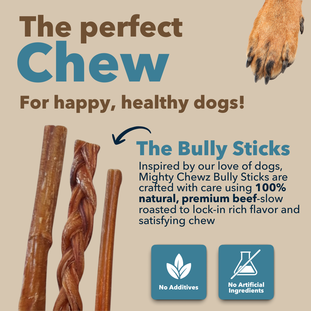 Mighty Chewz - 12" MONSTER Braided Bully Sticks.