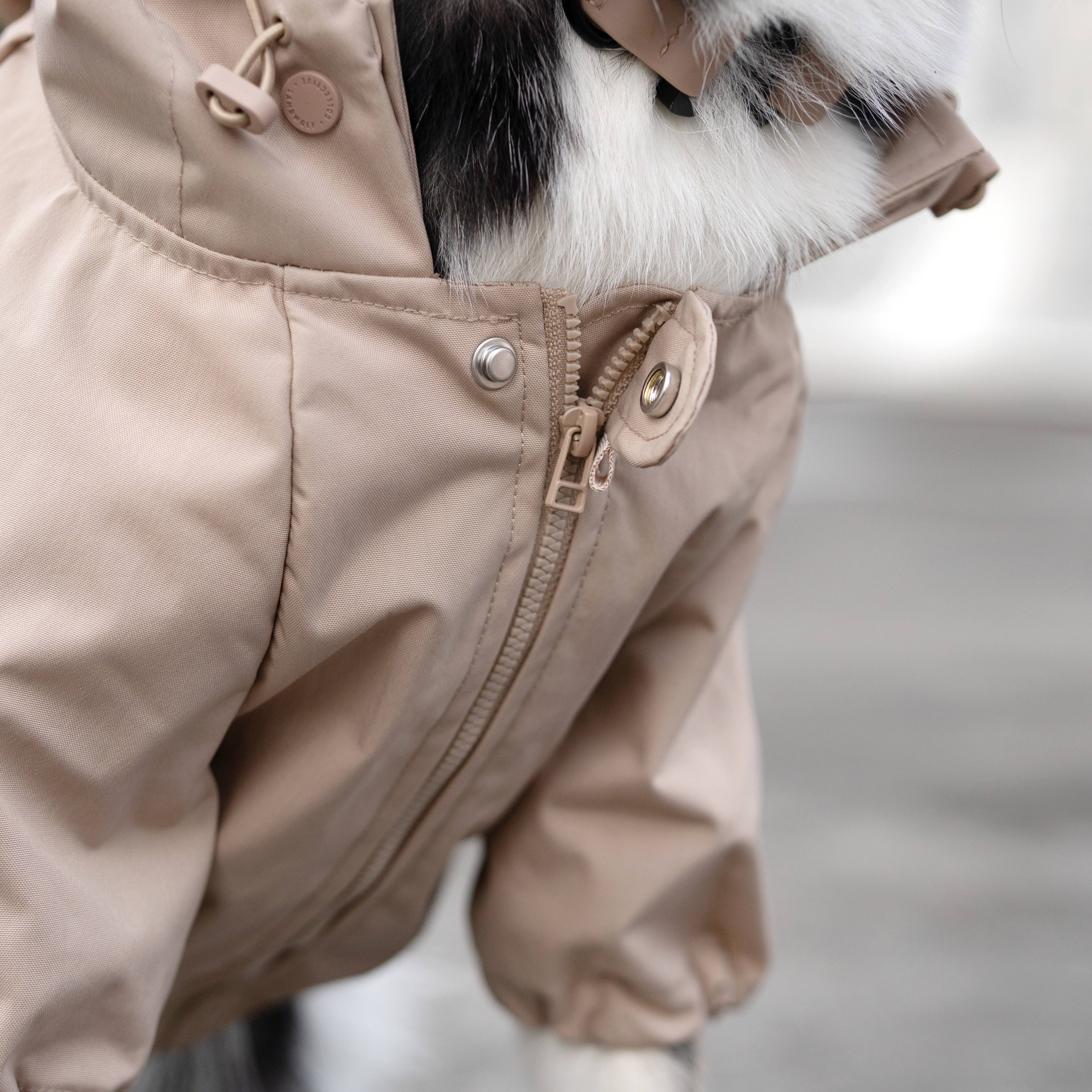 BROOKLYN//DOG CLOTHING//APPAREL: M / Fern