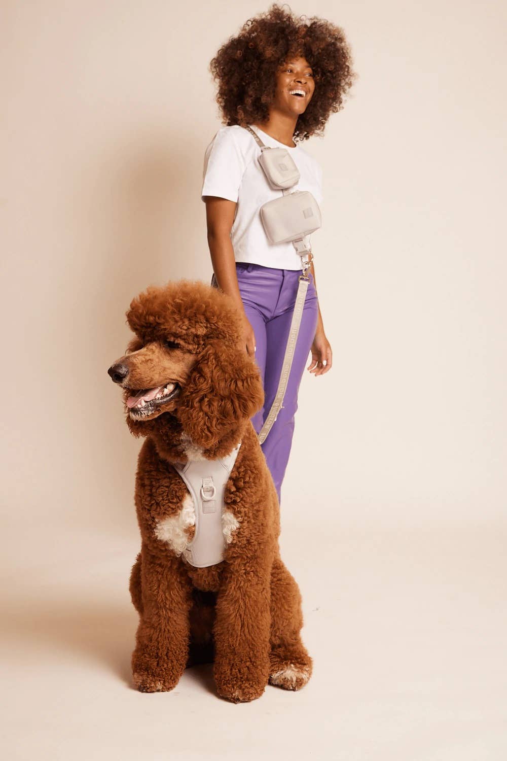 Go With Ease! Hands Free Dog Leash: Peach